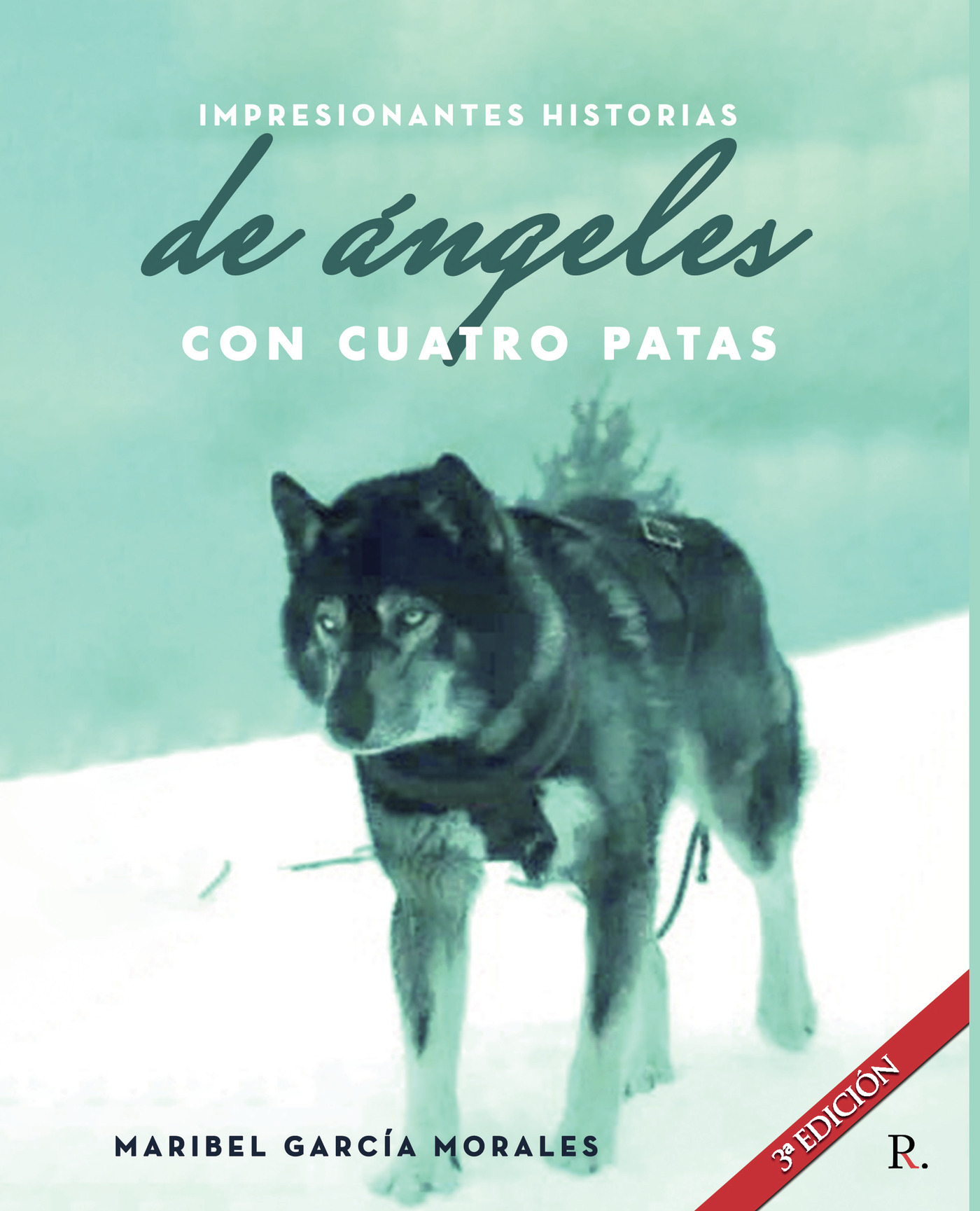 Portada de Impresionantes Historias Reales de Ángeles con Cuatro Patas