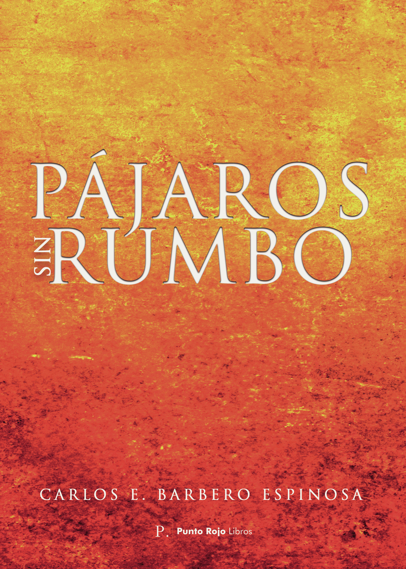 Portada de Pájaros sin rumbo