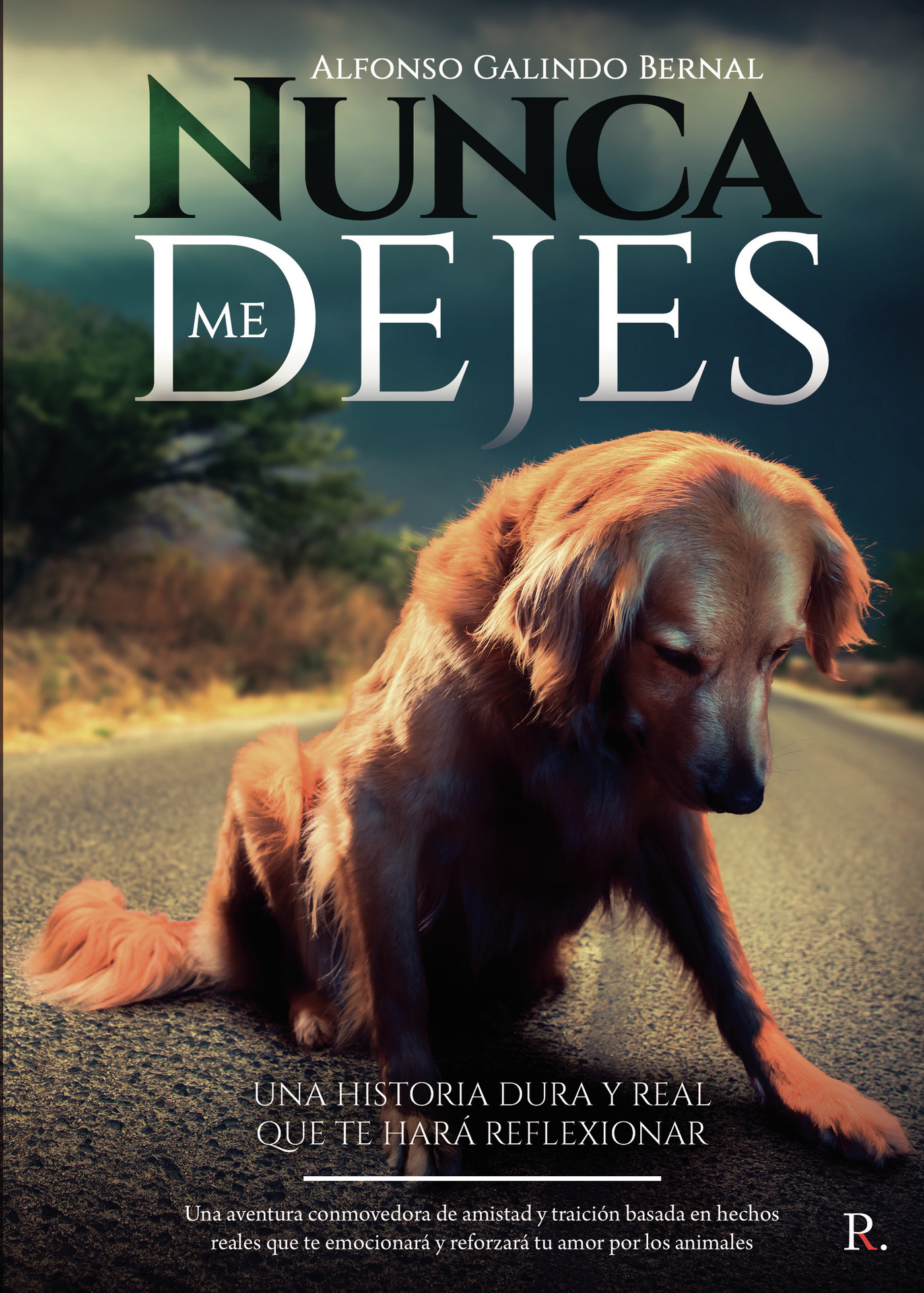 Portada de Nunca me dejes