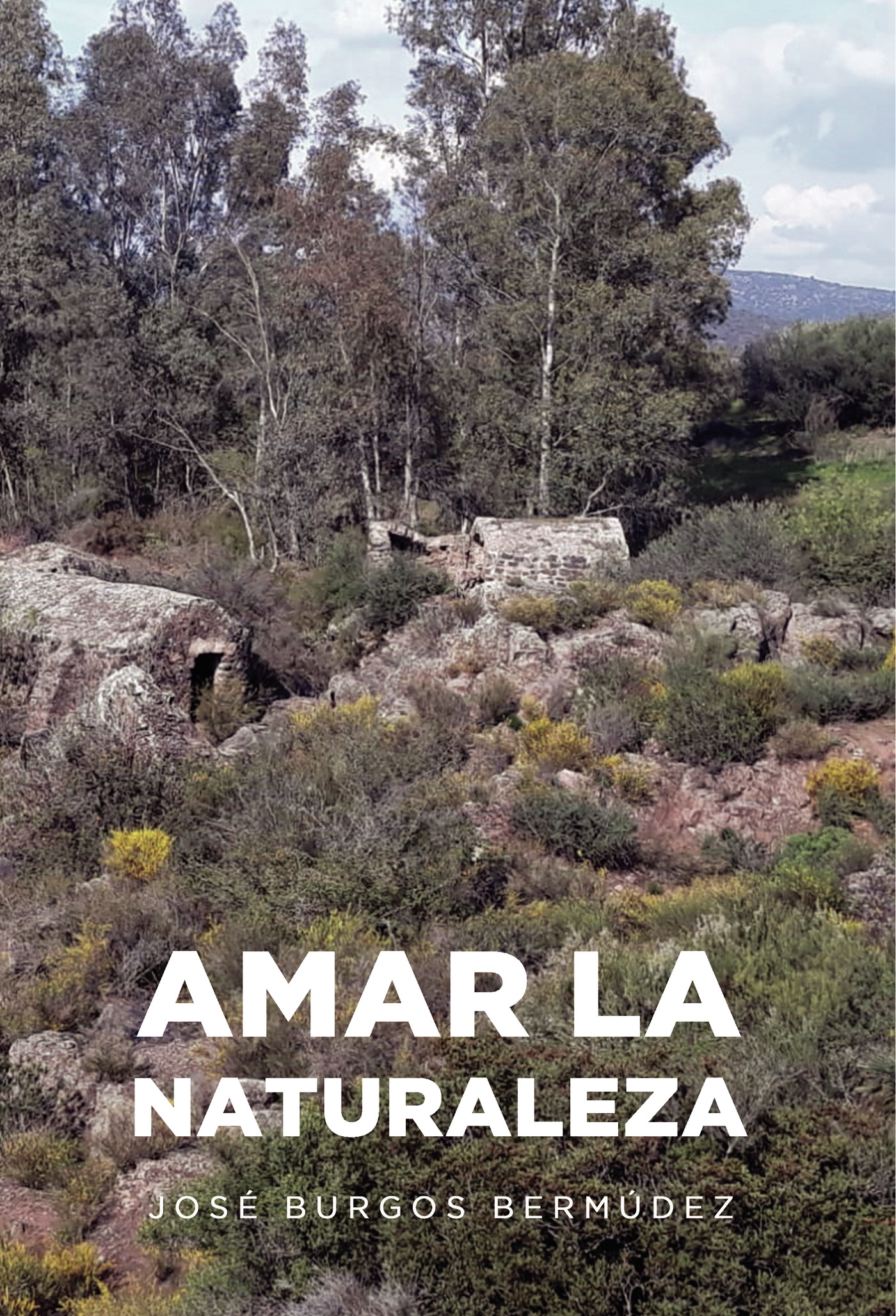 Portada de Amar la Naturaleza · José Burgos Bermúdez