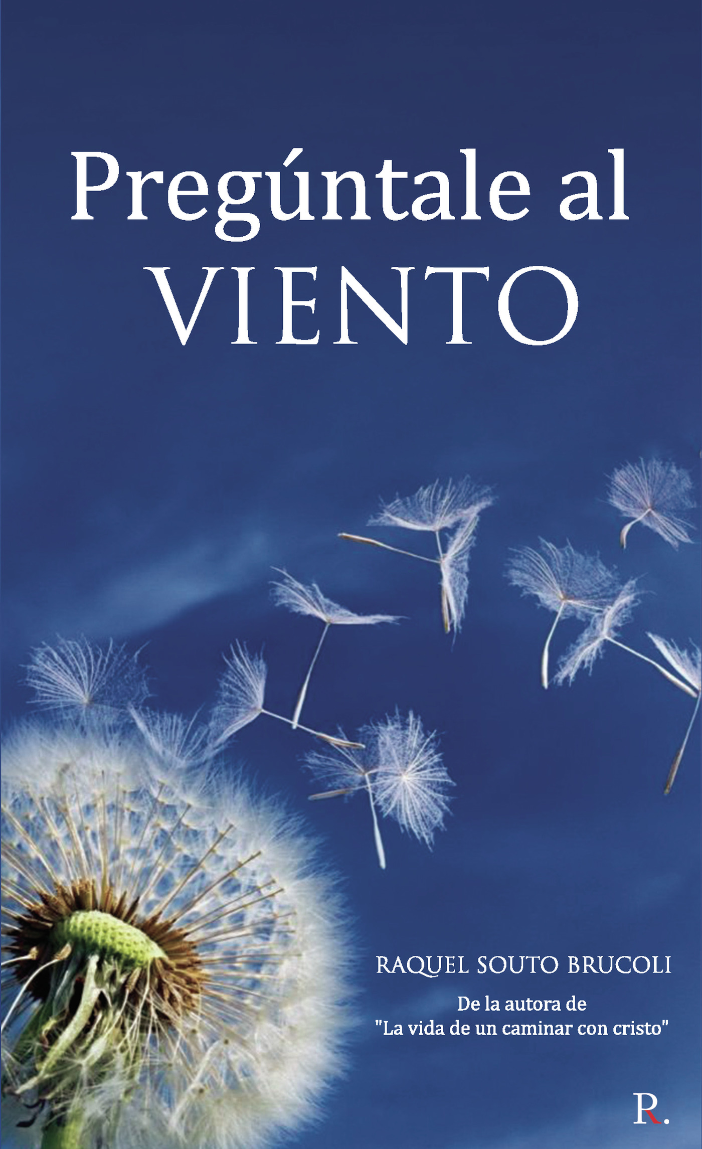 Portada de Pregúntale al viento · Raquel Souto Brucoli