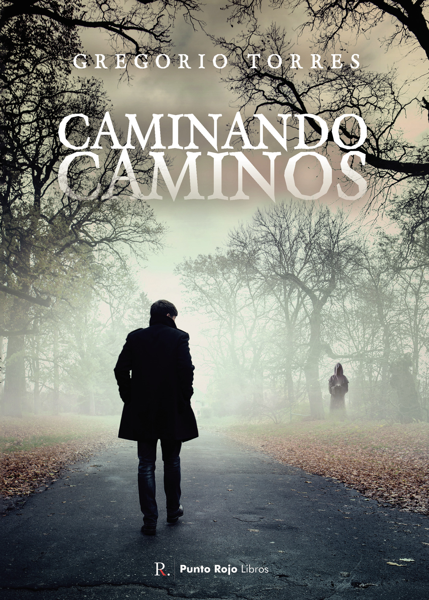 Portada de Caminando caminos