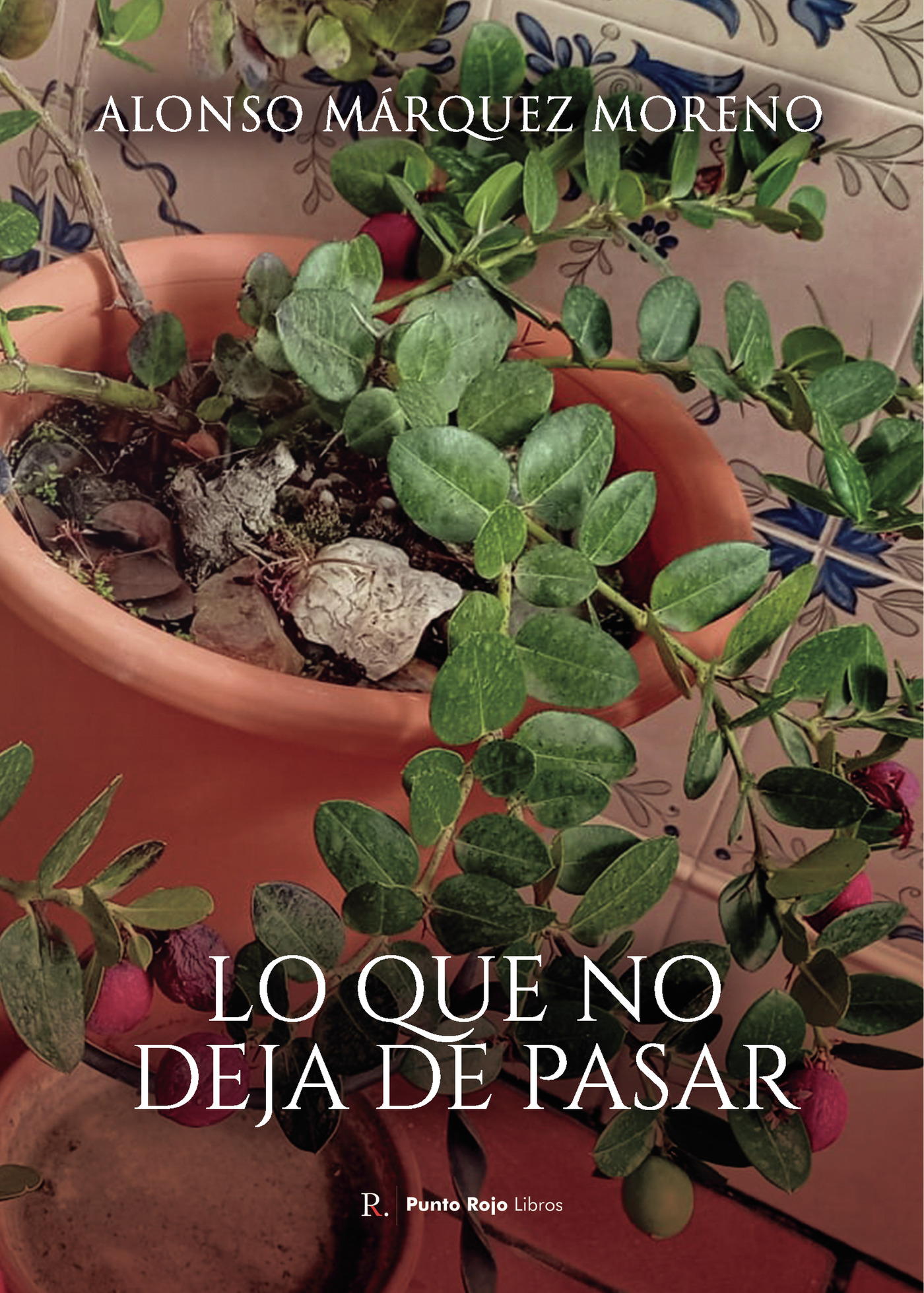 Portada de Lo que no deja de pasar