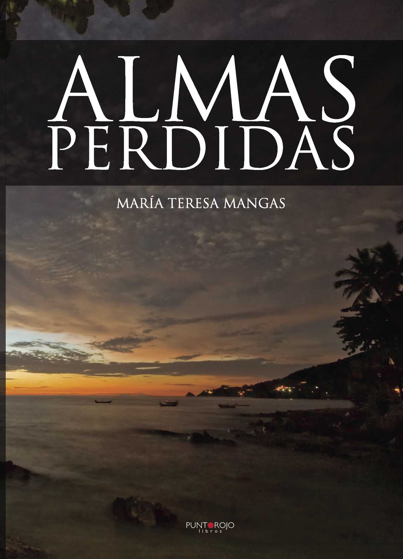 Portada de Almas perdidas. (2ª Edición)