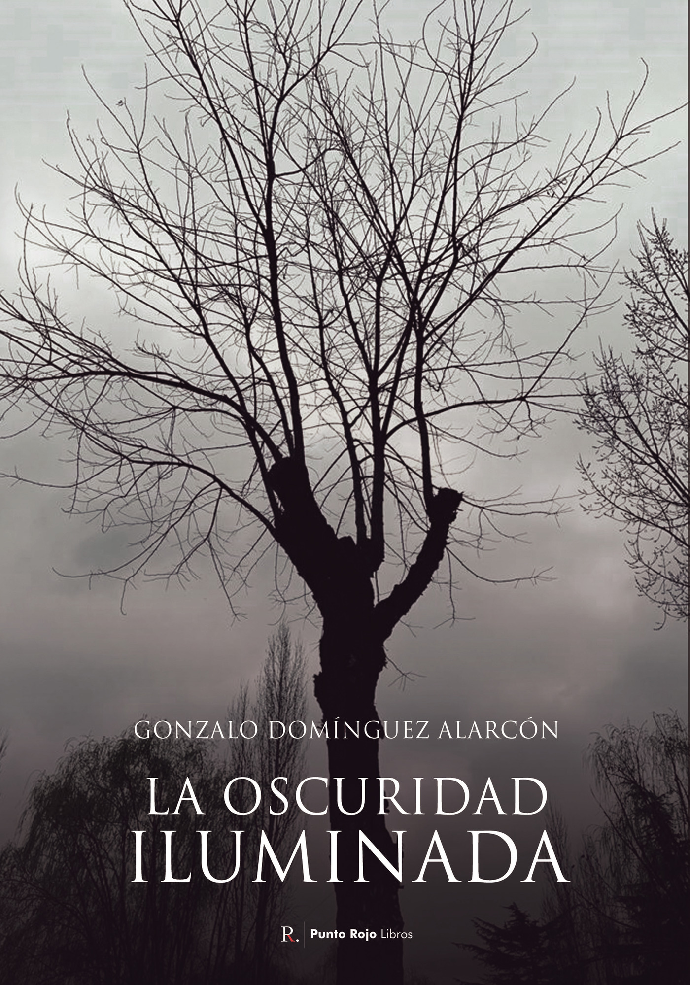 Portada de La oscuridad iluminada · Gonzalo Domínguez Alarcón