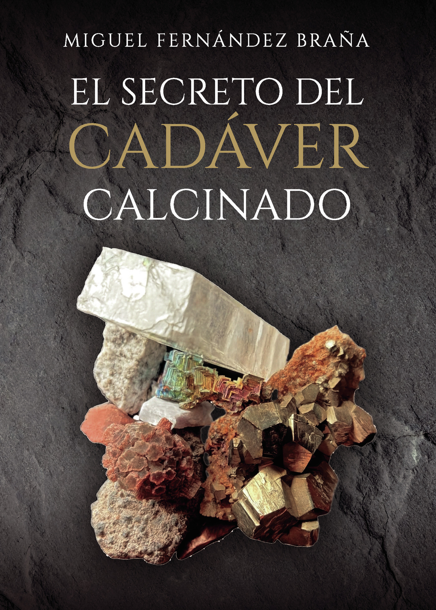 Portada de El secreto del cadáver calcinado