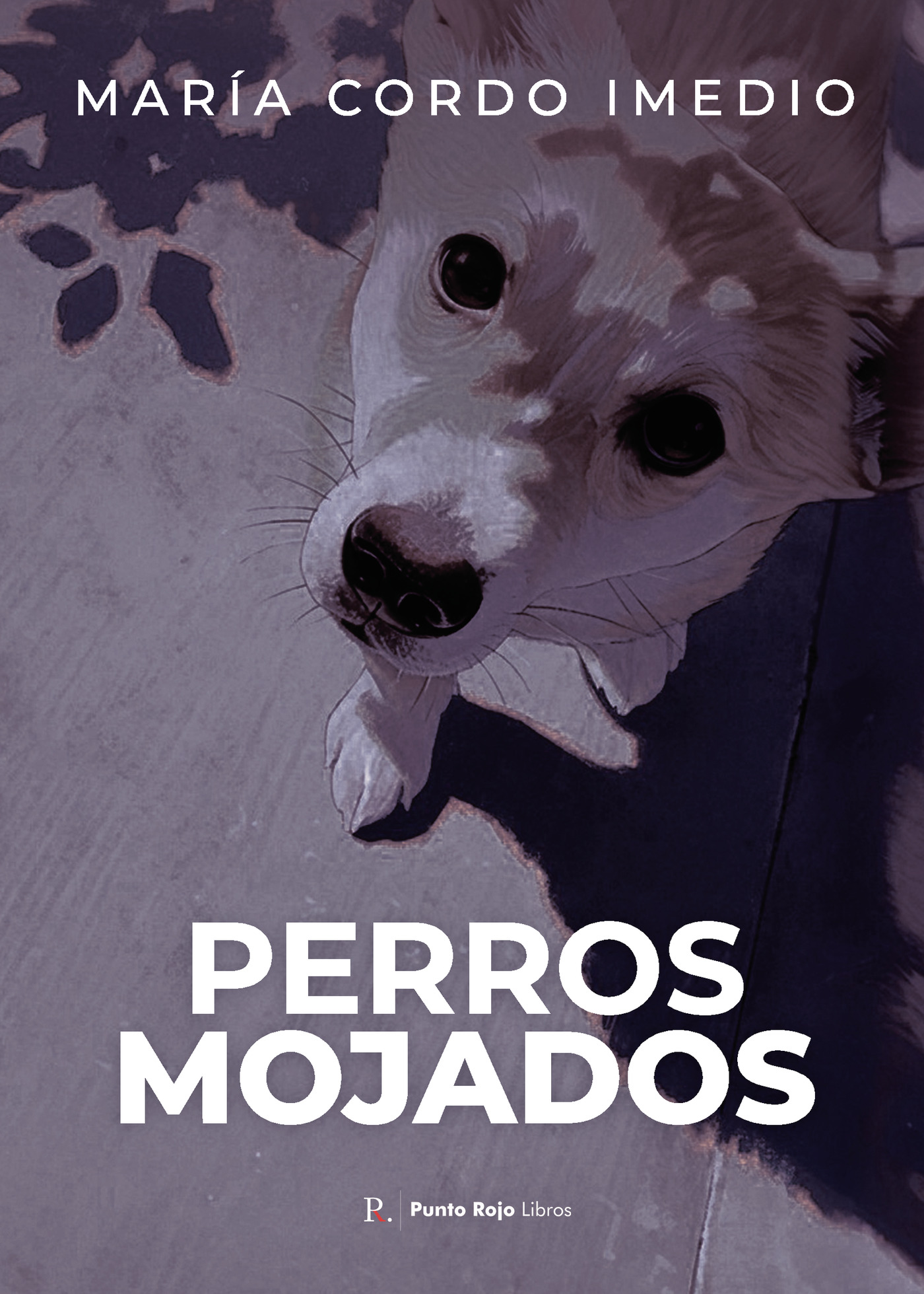 Portada de Perros mojados · María Cordo Imedio