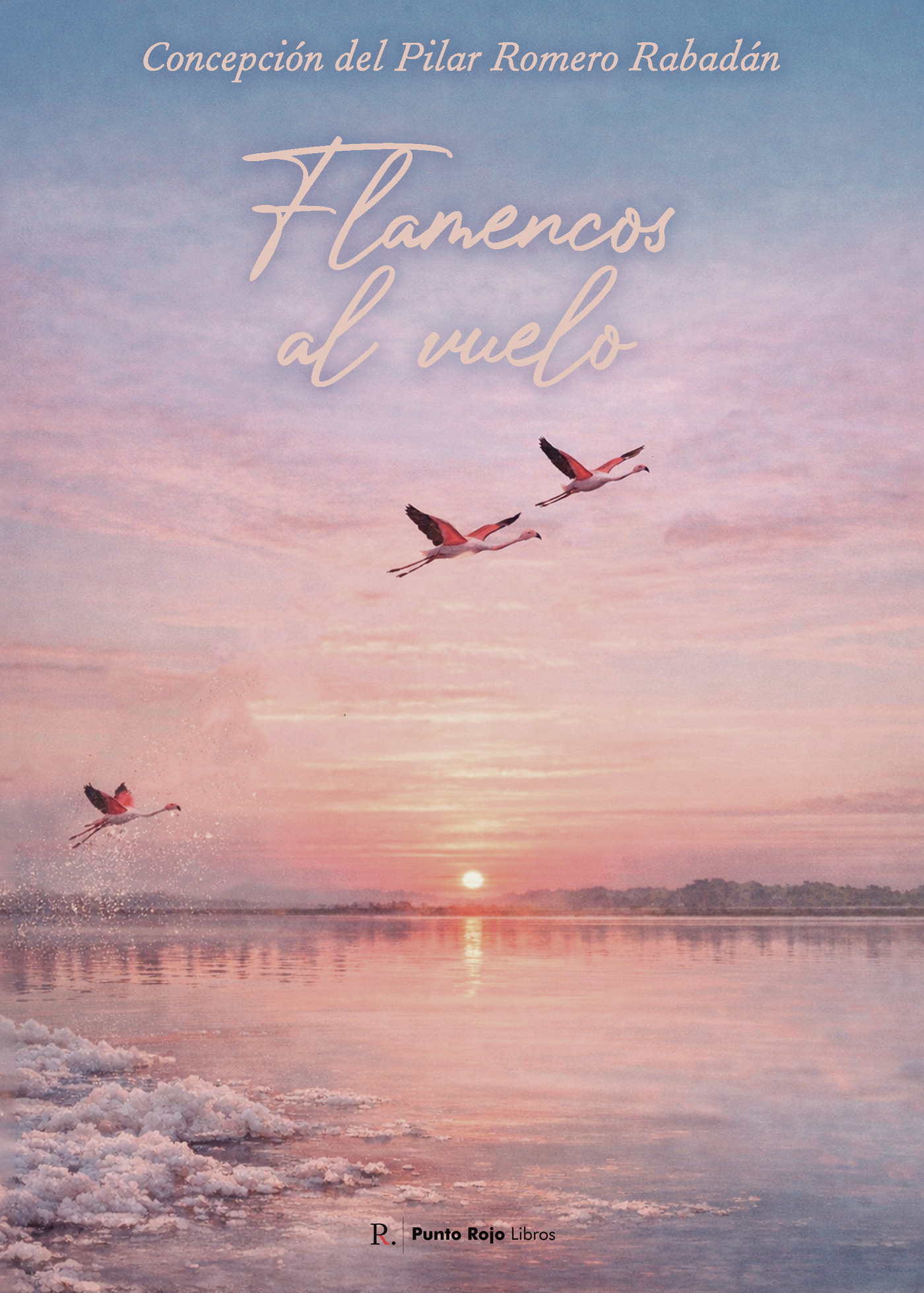 Portada de Flamencos al vuelo · Concepción del Pilar Romero Rabadán