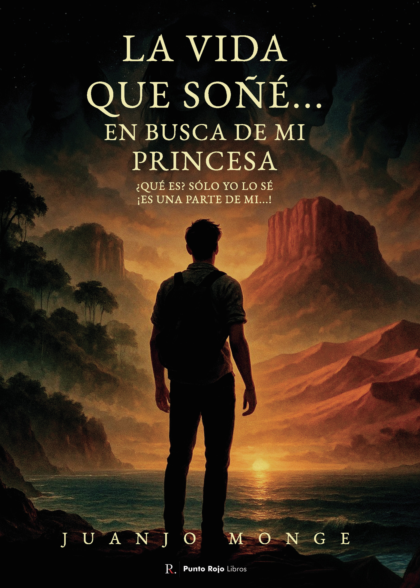 Portada de La vida que soñé...