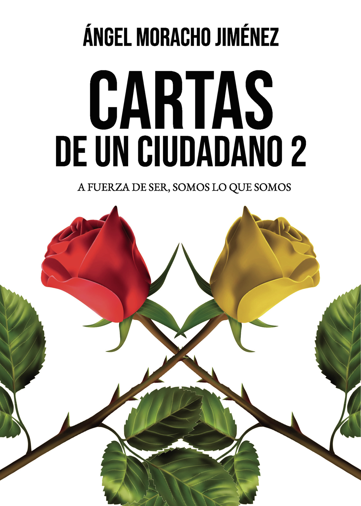 Portada de Cartas de un ciudadano 2