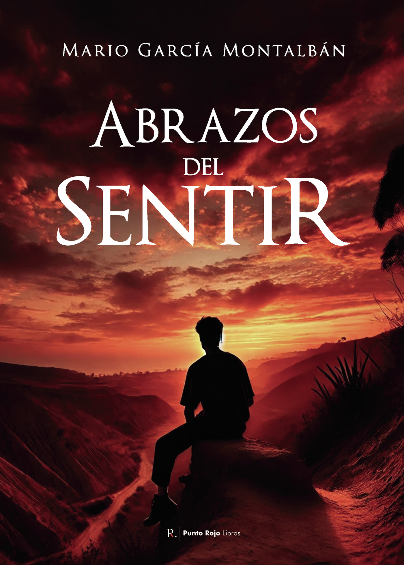 Portada de Abrazos del sentir