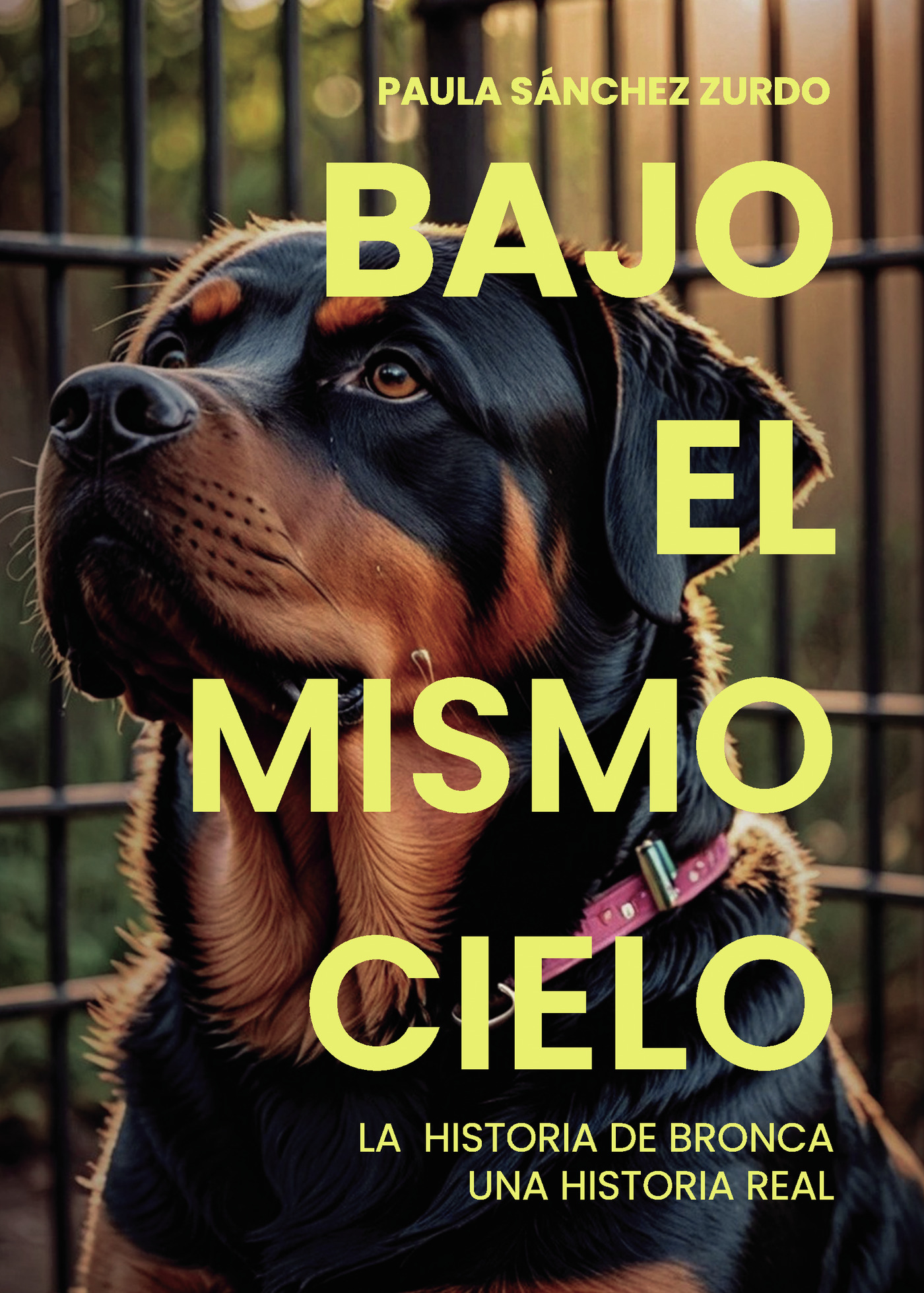 Portada de Bajo el mismo cielo