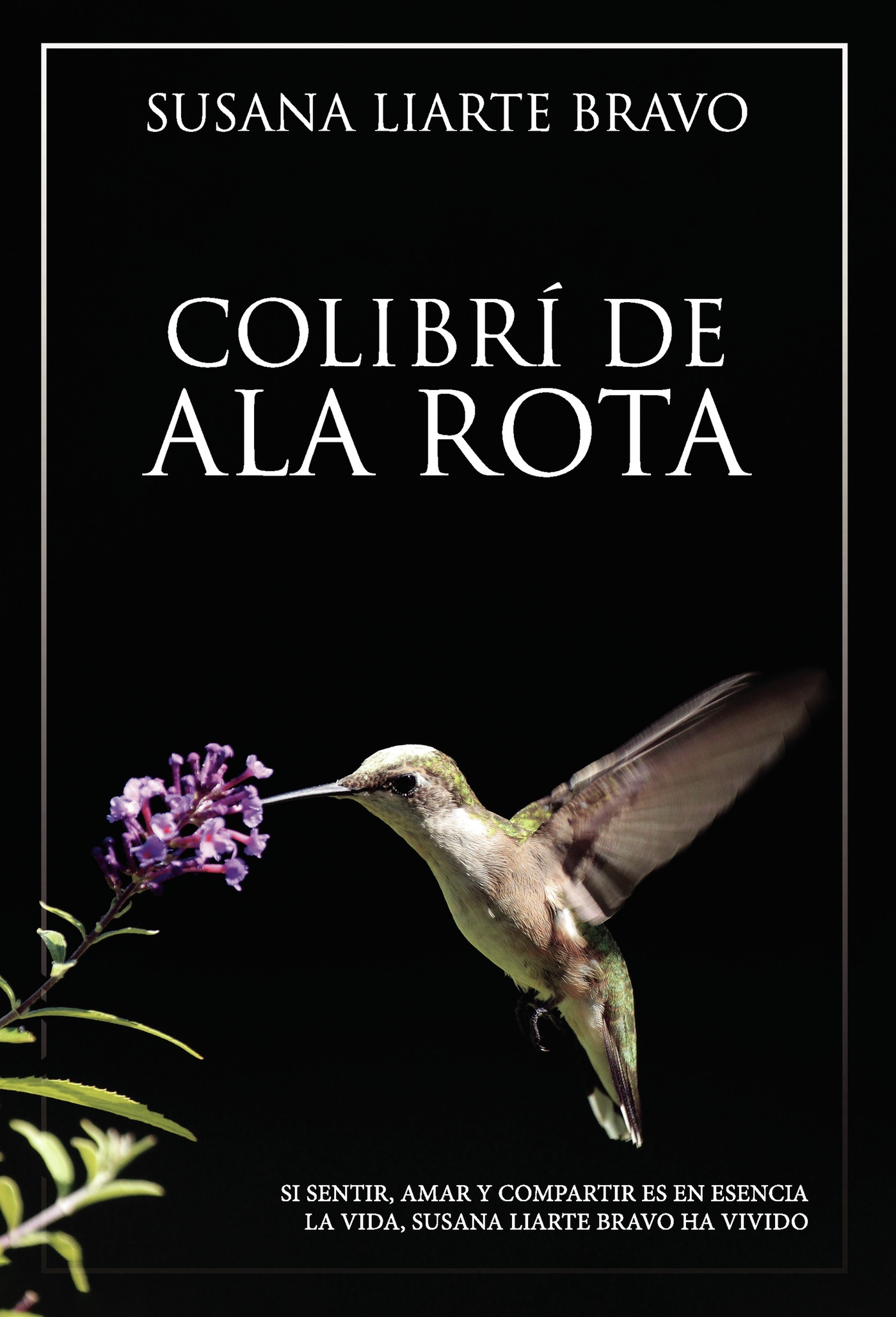 Portada de Colibrí de ala rota