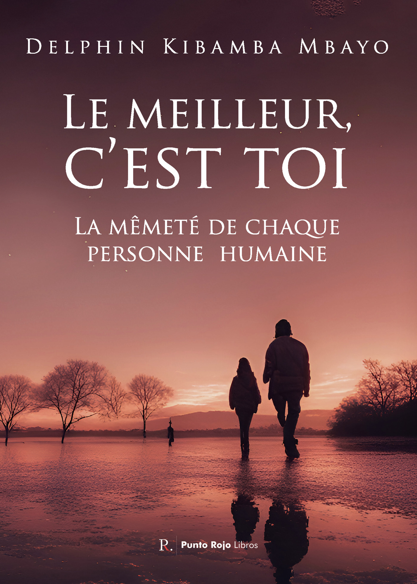 Portada de Le meilleur, cest toi · Delphin Kibamba Mbayo