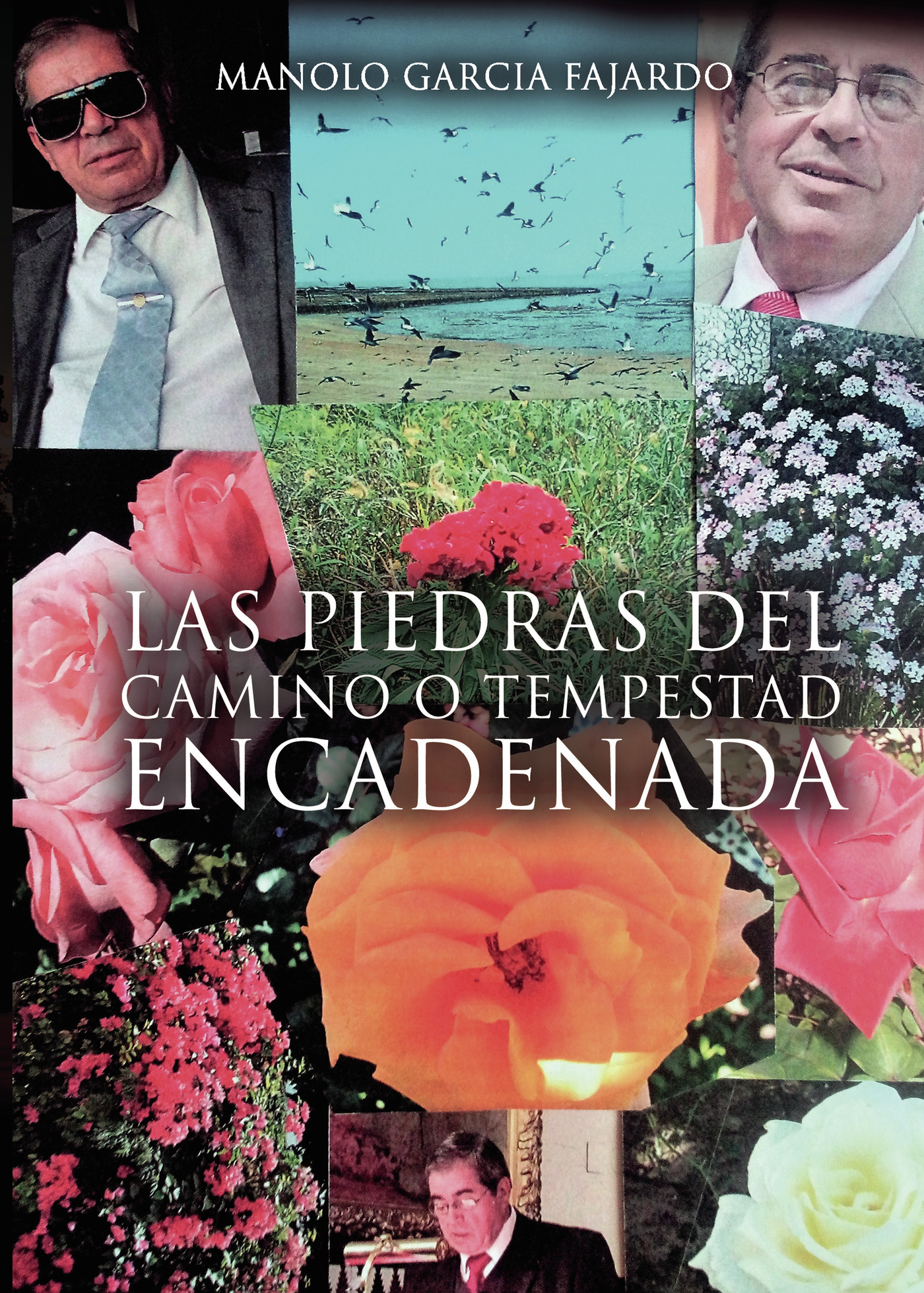 Portada de Las piedras del camino o tempestad encadenada