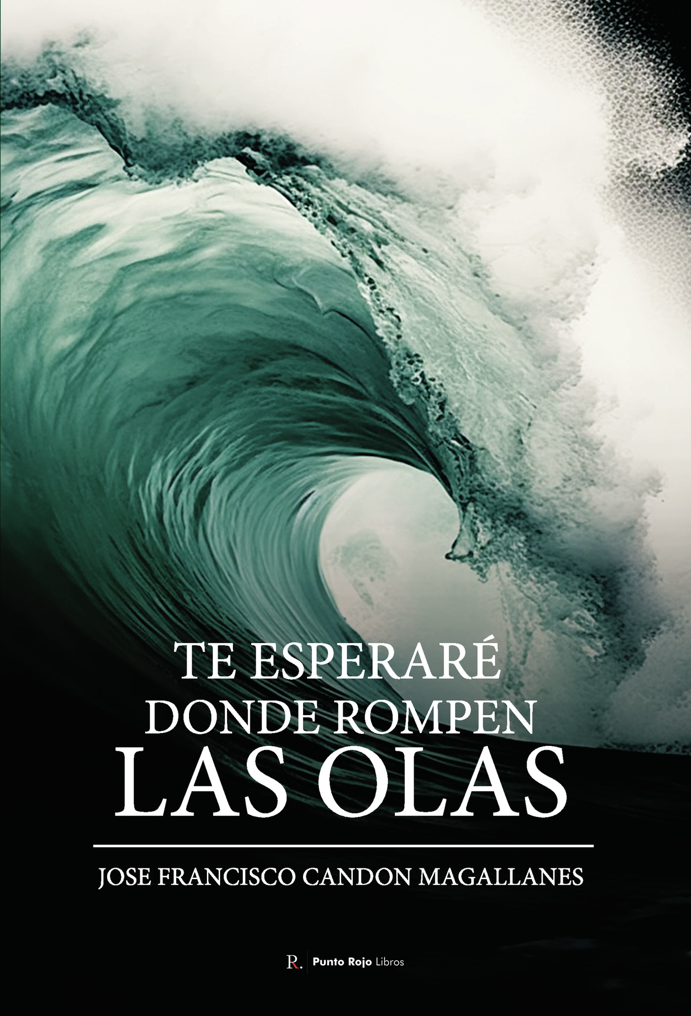 Portada de Te esperaré donde rompen las olas