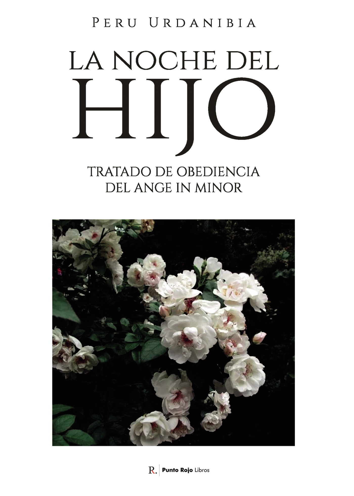 Portada de La noche del hijo. Tratado de obediencia del ange in minor · Peru Urdanibia García
