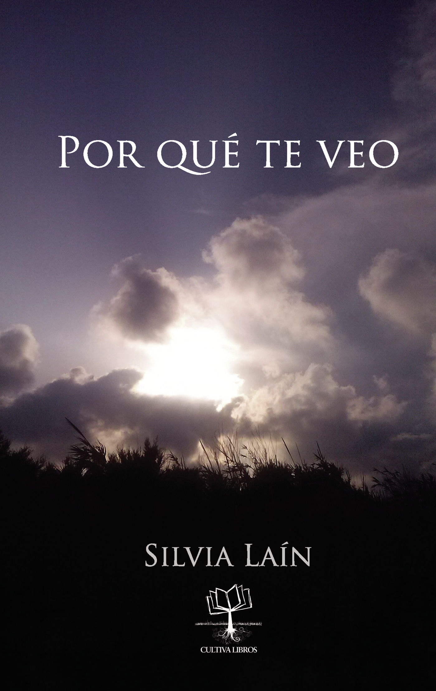 Portada de Por qué te veo