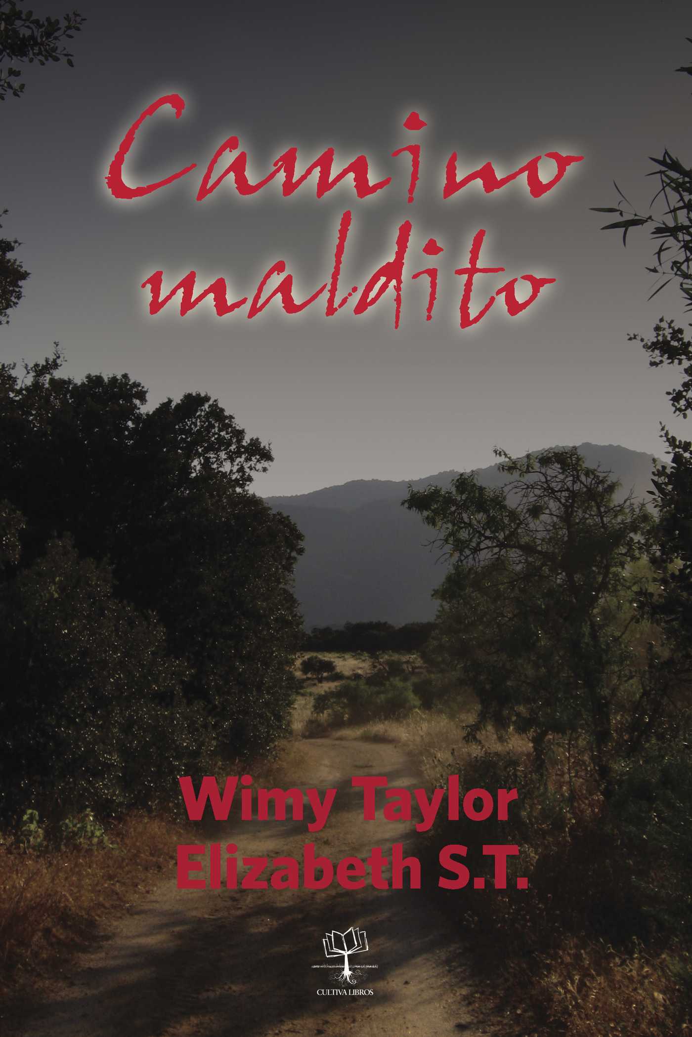 Portada de Camino maldito