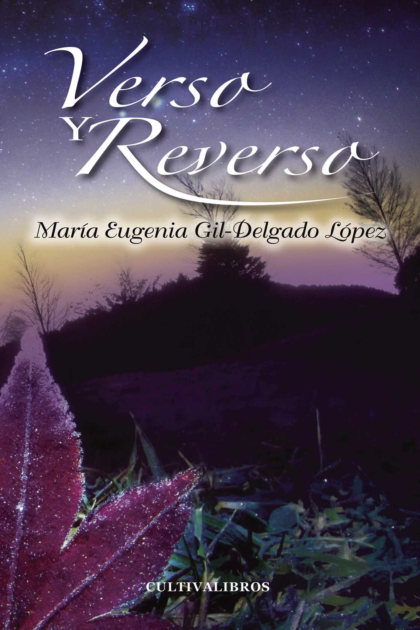 Portada de Verso y reverso