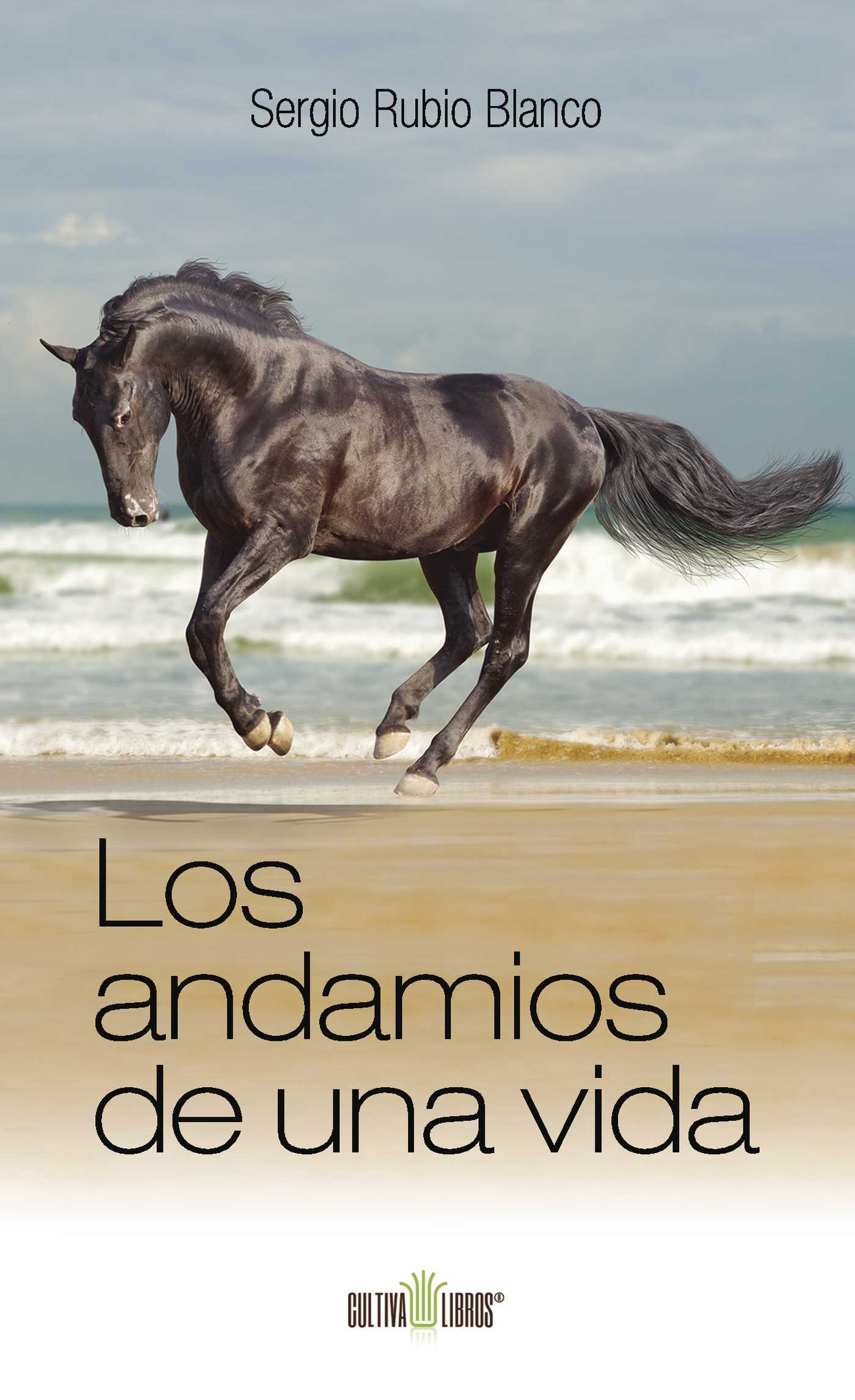 Portada de Los andamios de una vida