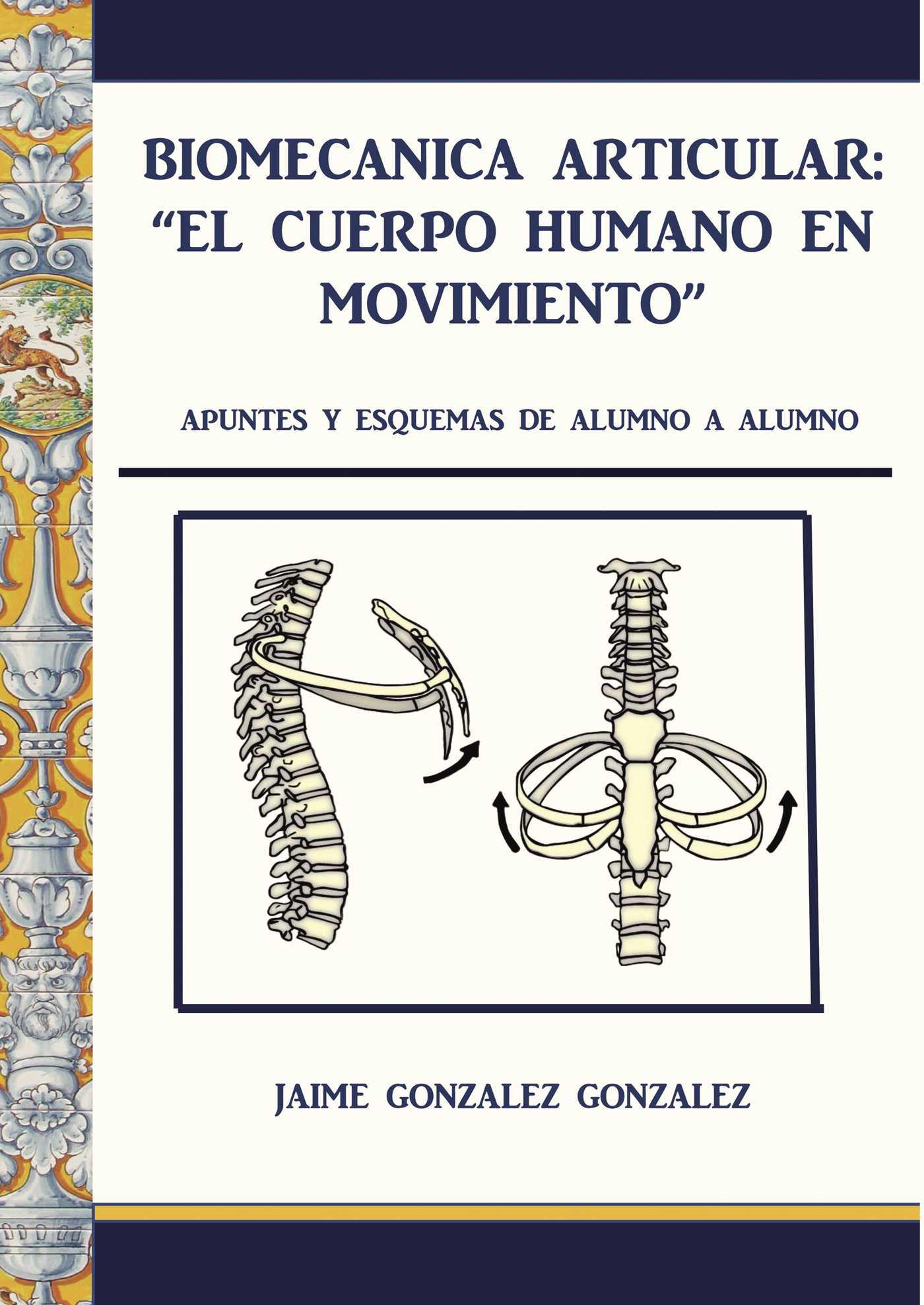 Portada de Biomecánica articular. El cuerpo humano en movimiento