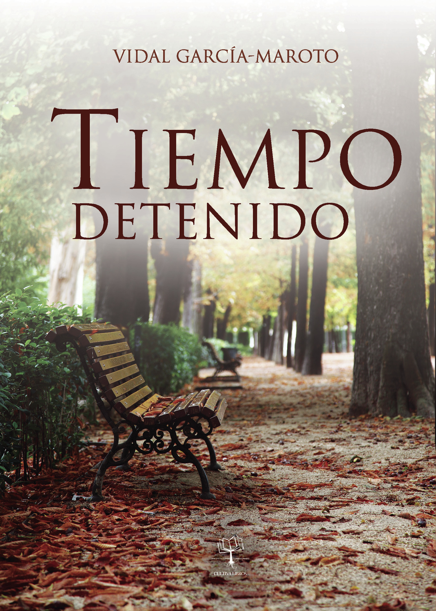 Portada de Tiempo detenido