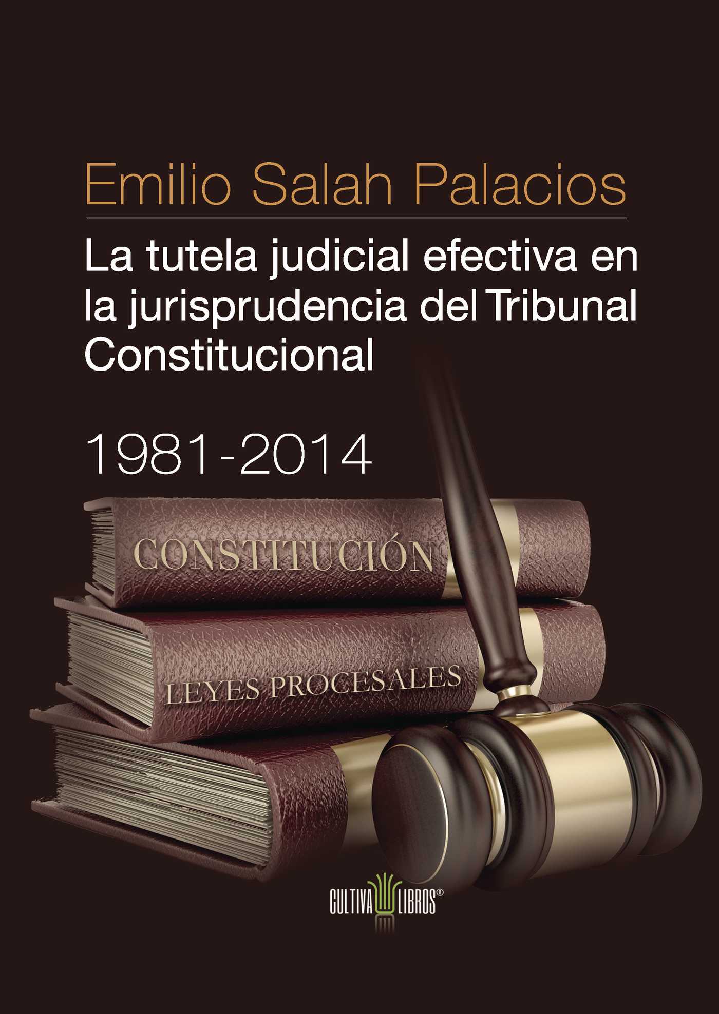 Portada de La tutela judicial efectiva en la jurisprudencia del Tribunal Constitucional. 1981-2014