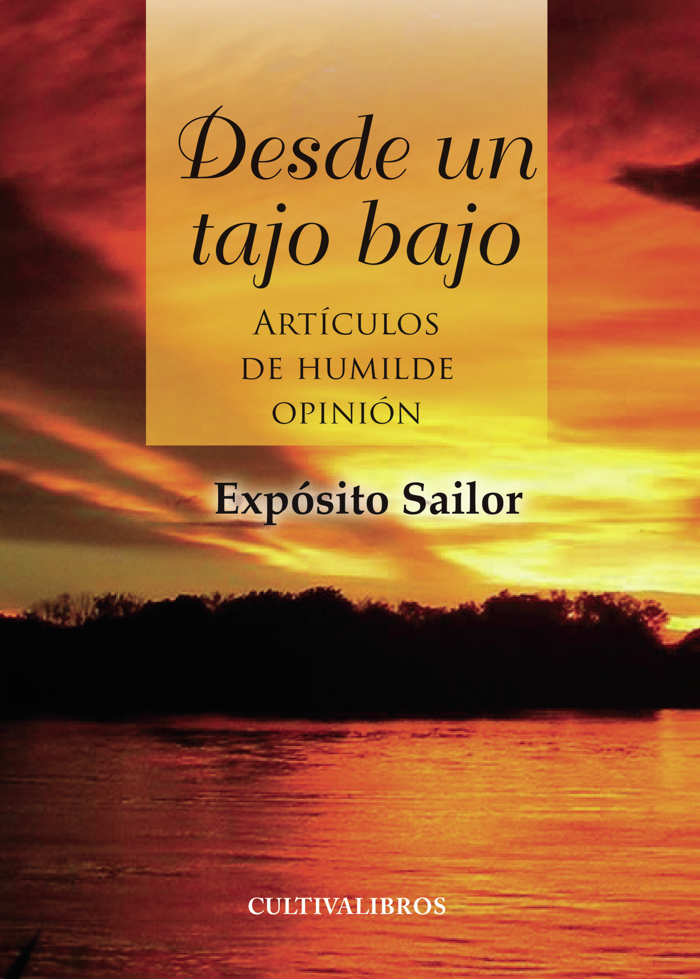 Portada de Desde un tajo bajo. Artículos de humilde opinión