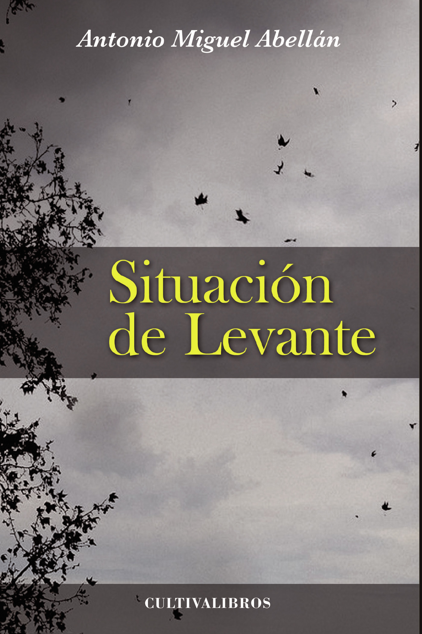 Portada de Situación de Levante · Antonio Miguel Abellán