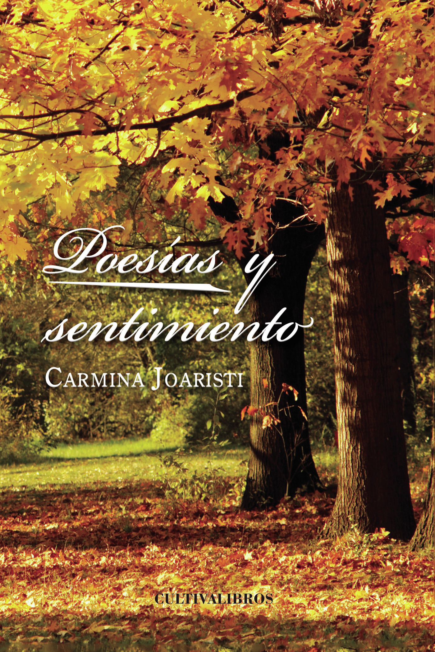 Portada de Poesías y sentimiento