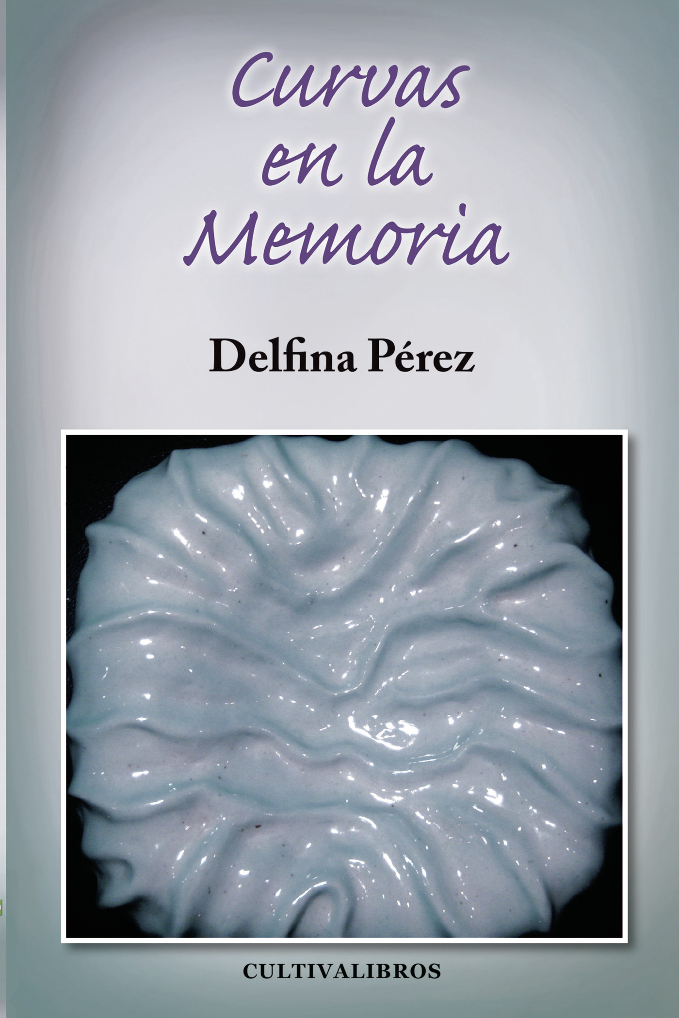 Portada de Curvas en la memoria