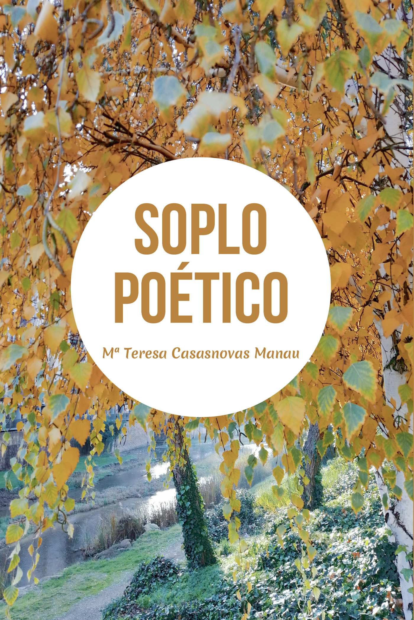 Portada de SOPLO POÉTICO