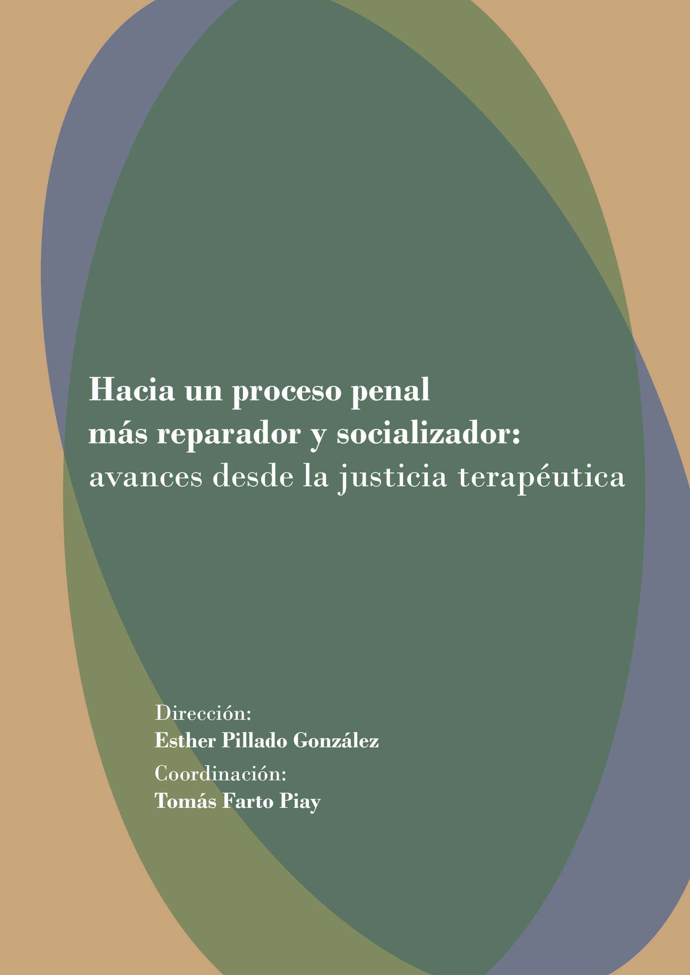 Portada de Hacia un proceso penal más reparador y resocializador: avances desde la justicia terapéutica. · Tomás Farto Piay