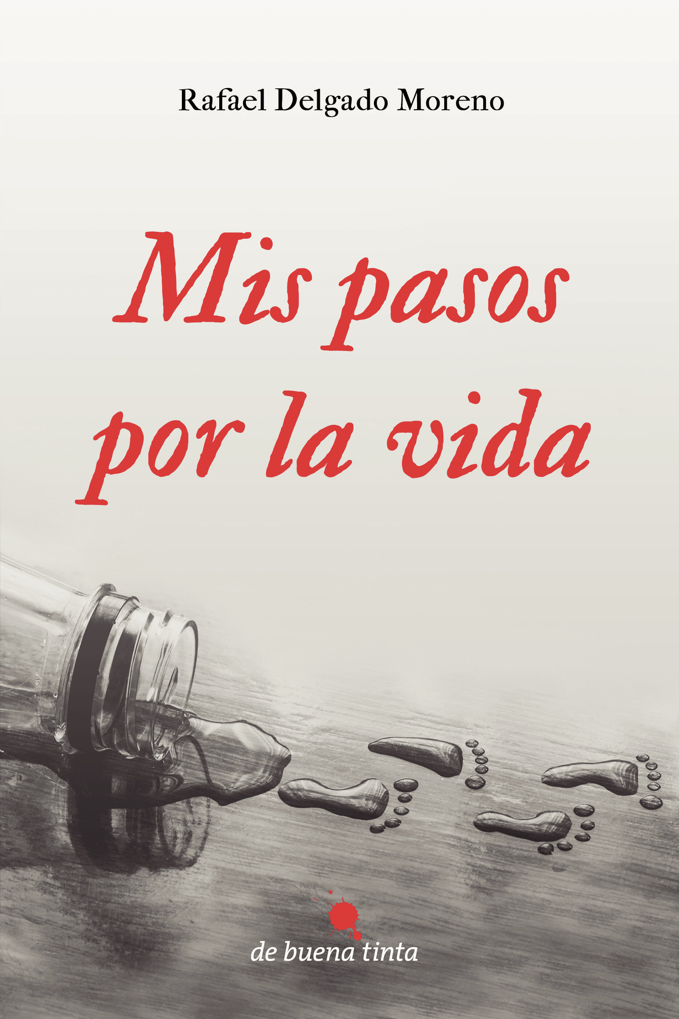 Portada de Mis pasos por la vida