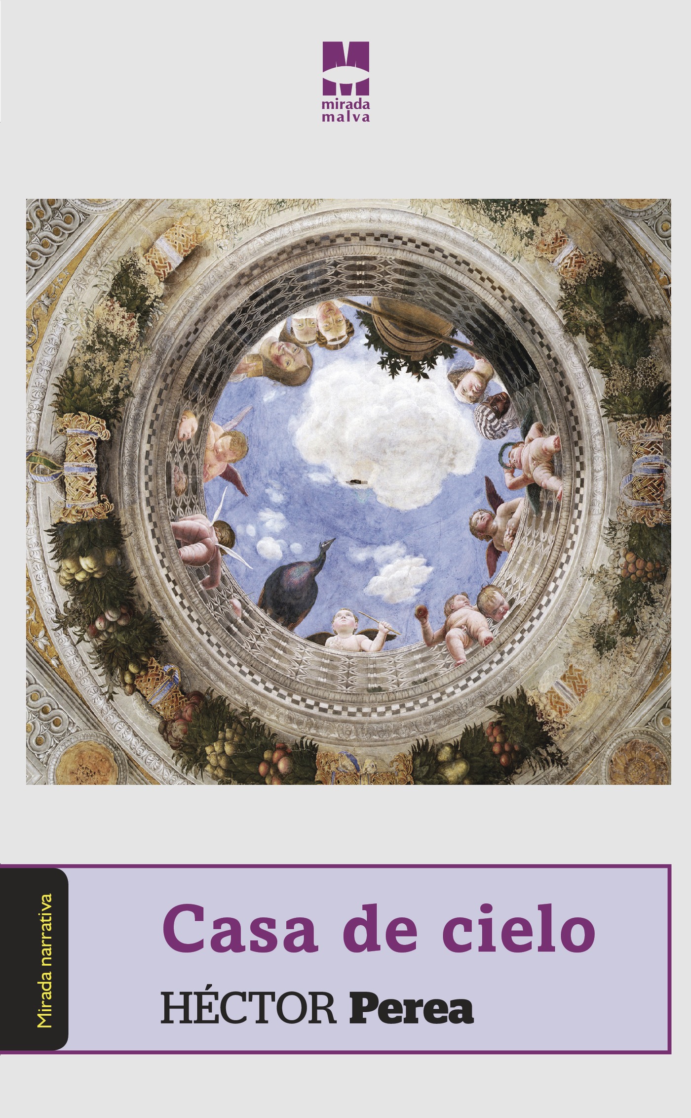 Portada de Casa de cielo