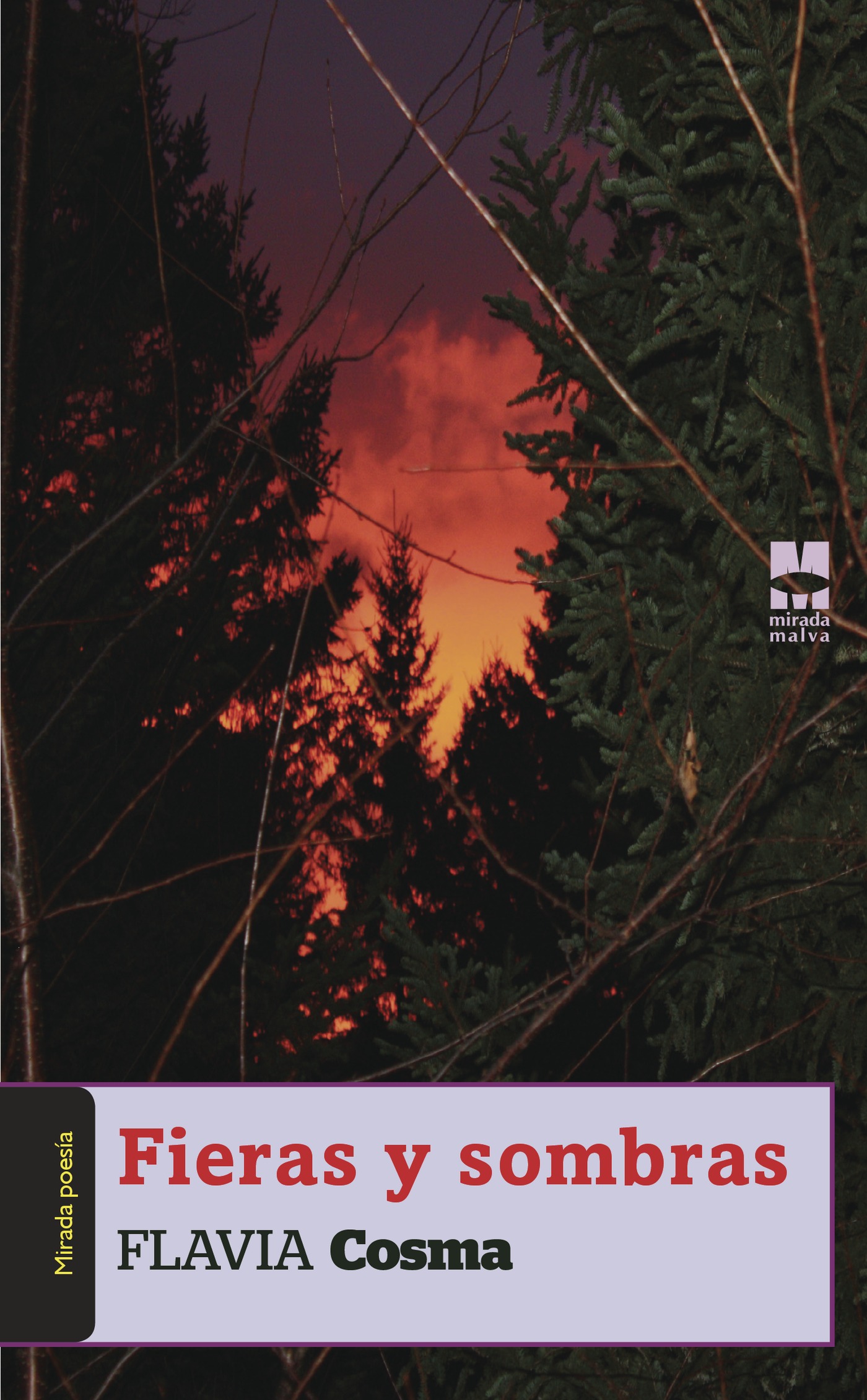 Portada de Fieras y Sombras