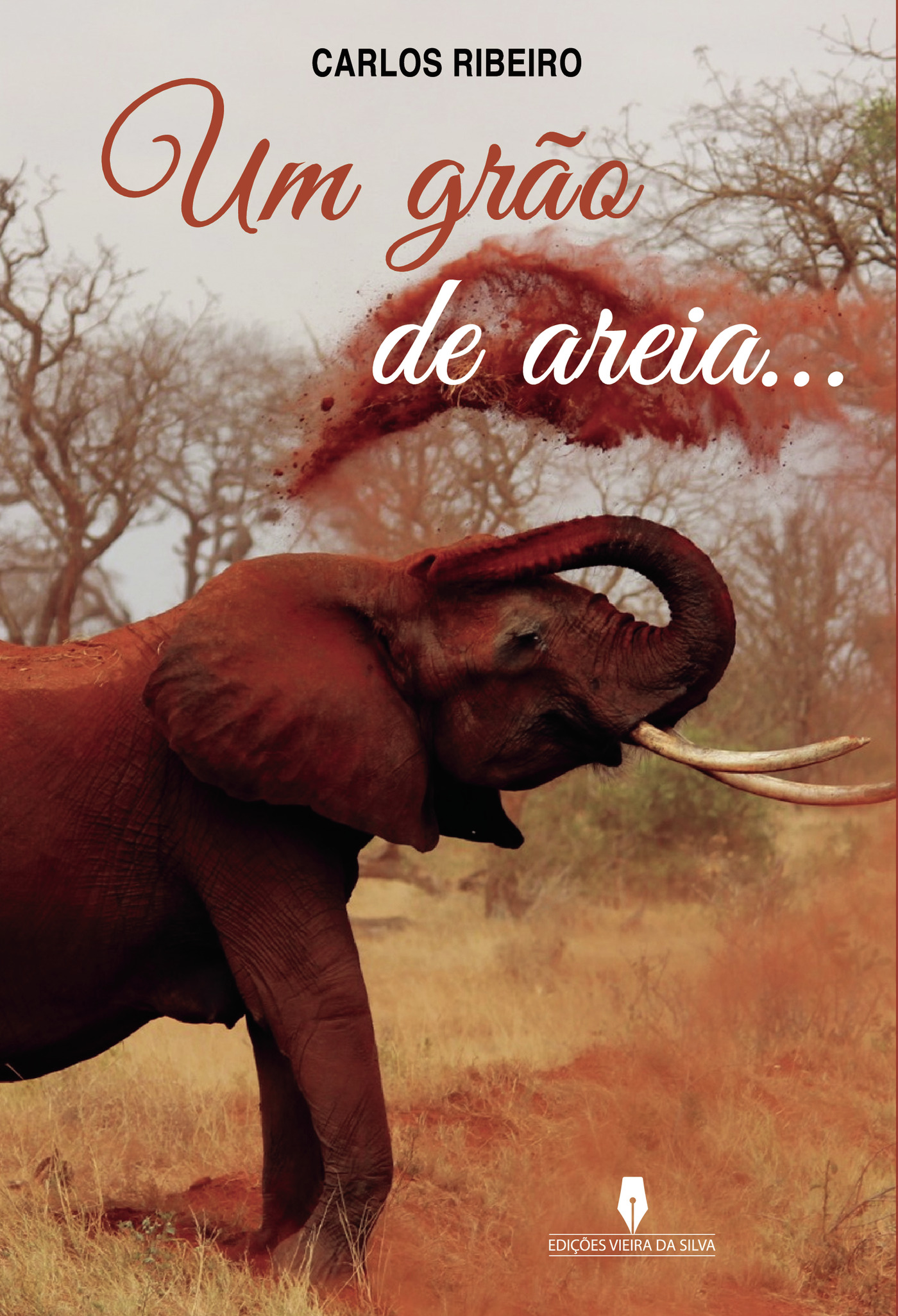 Portada de UM GRÛÉO DE AREIA · Carlos Ribeiro