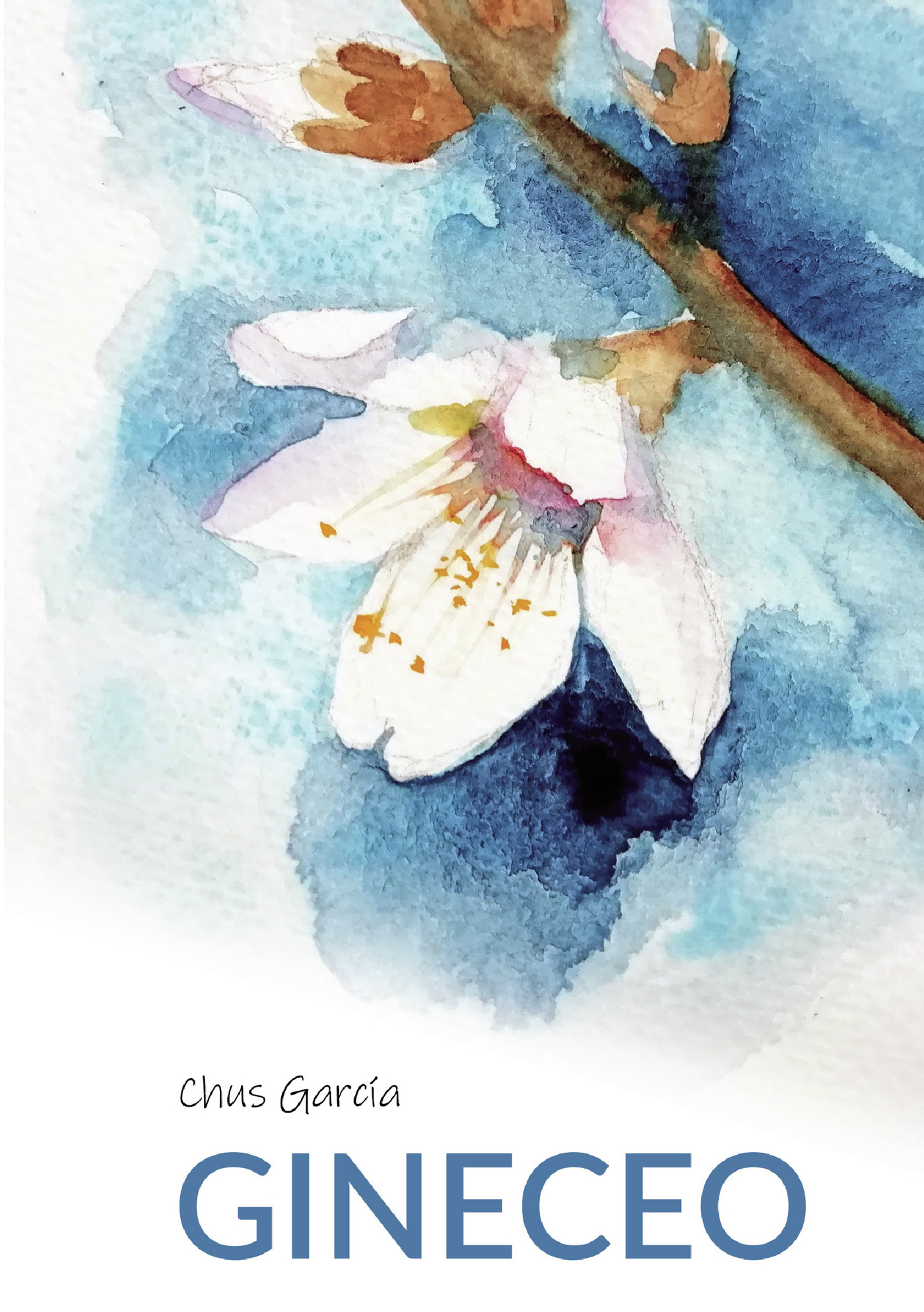 Portada de Gineceo · Chus García Fernández
