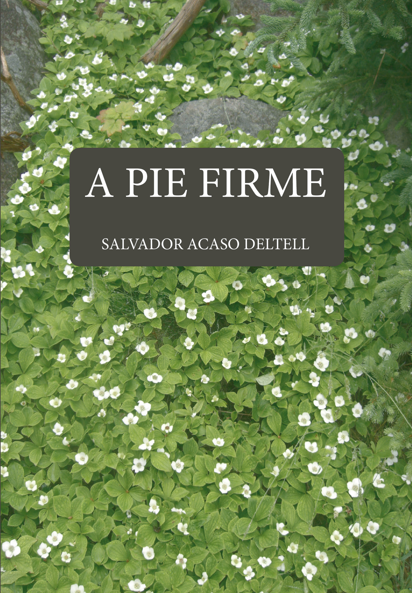 Portada de A pie firme