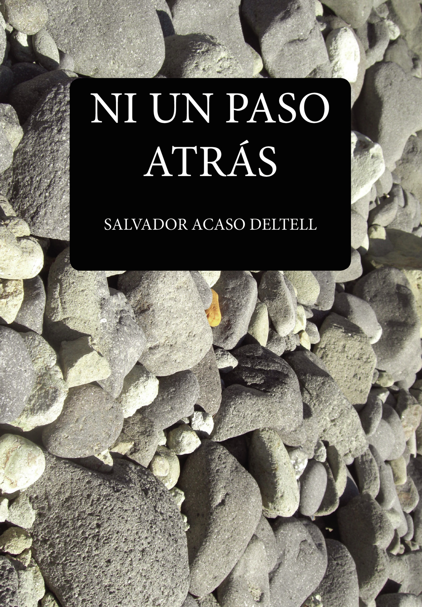 Portada de Ni un paso atrás