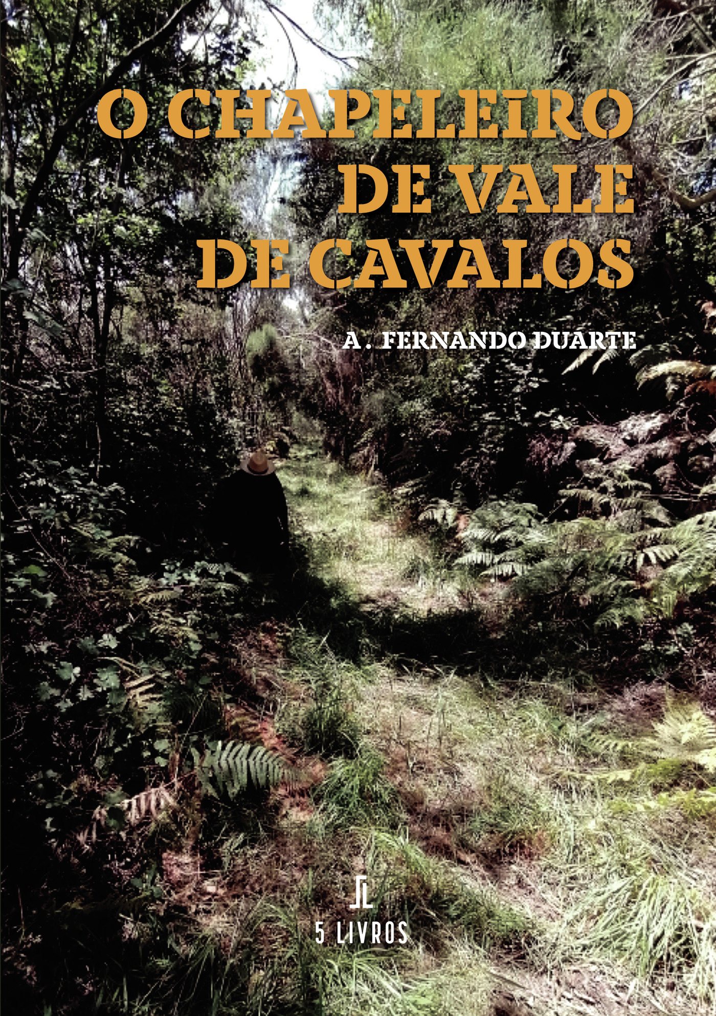 Portada de O Chapeleiro de Vale de Cavalos