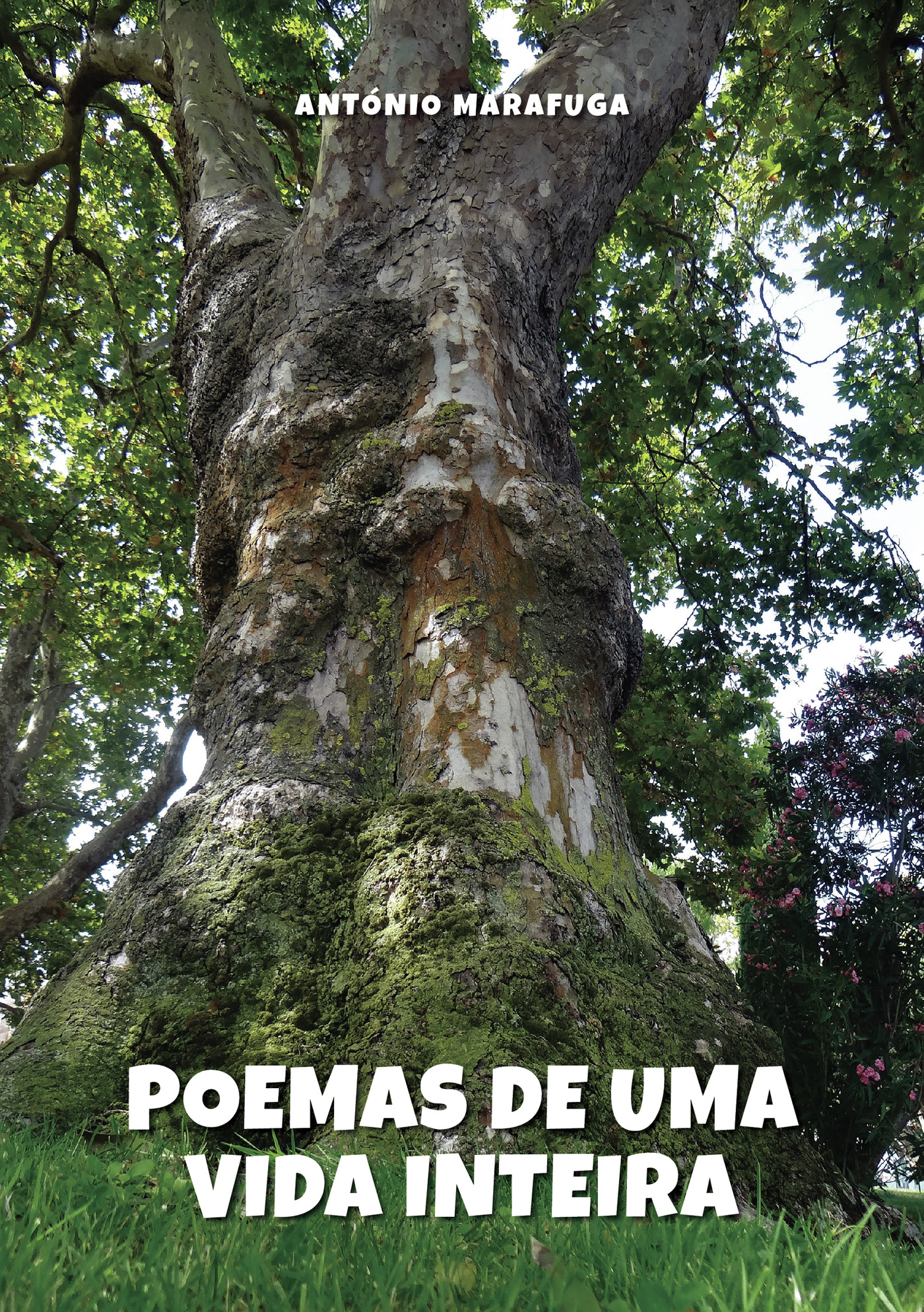 Portada de Poemas de Uma Vida Inteira