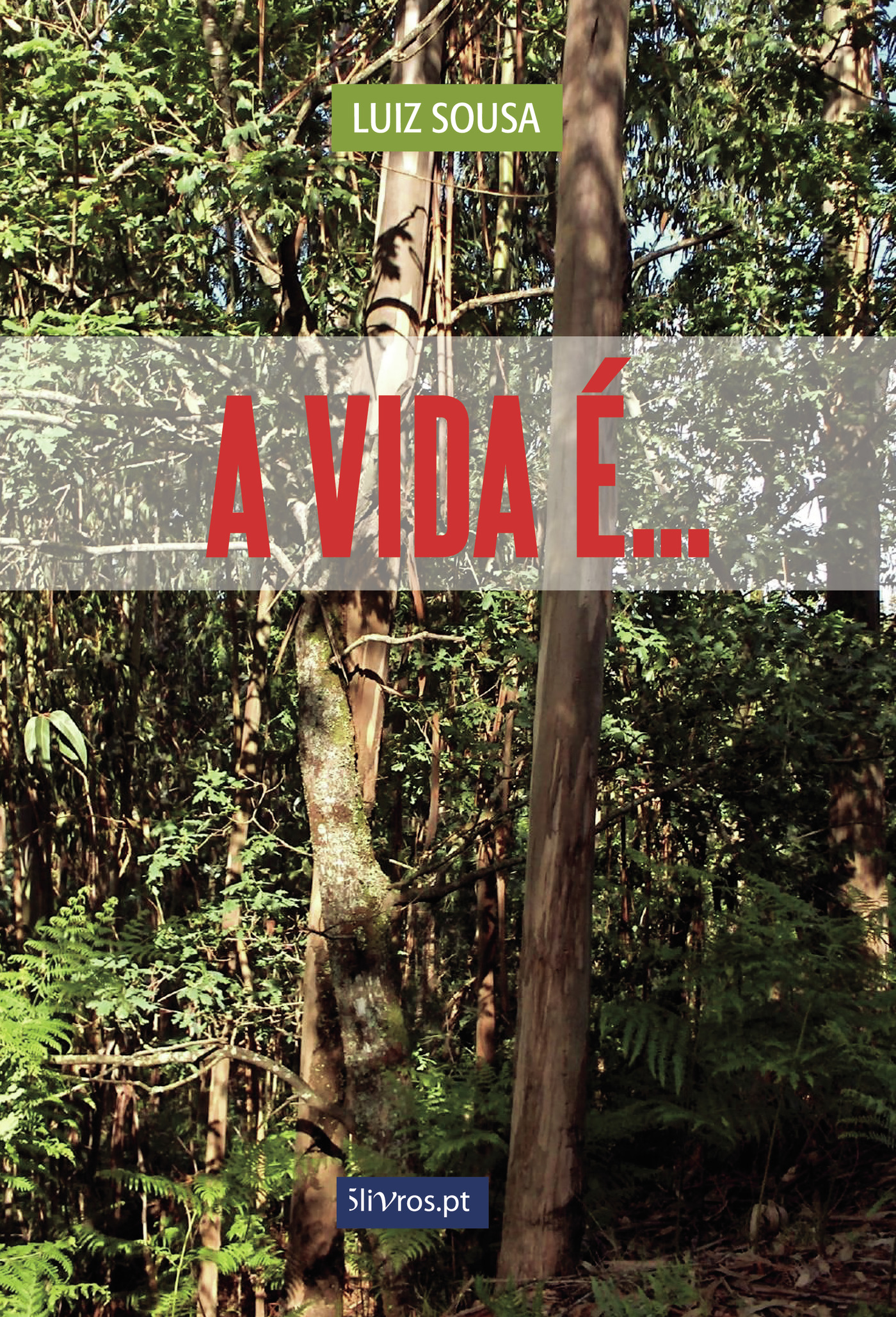 Portada de A Vida é