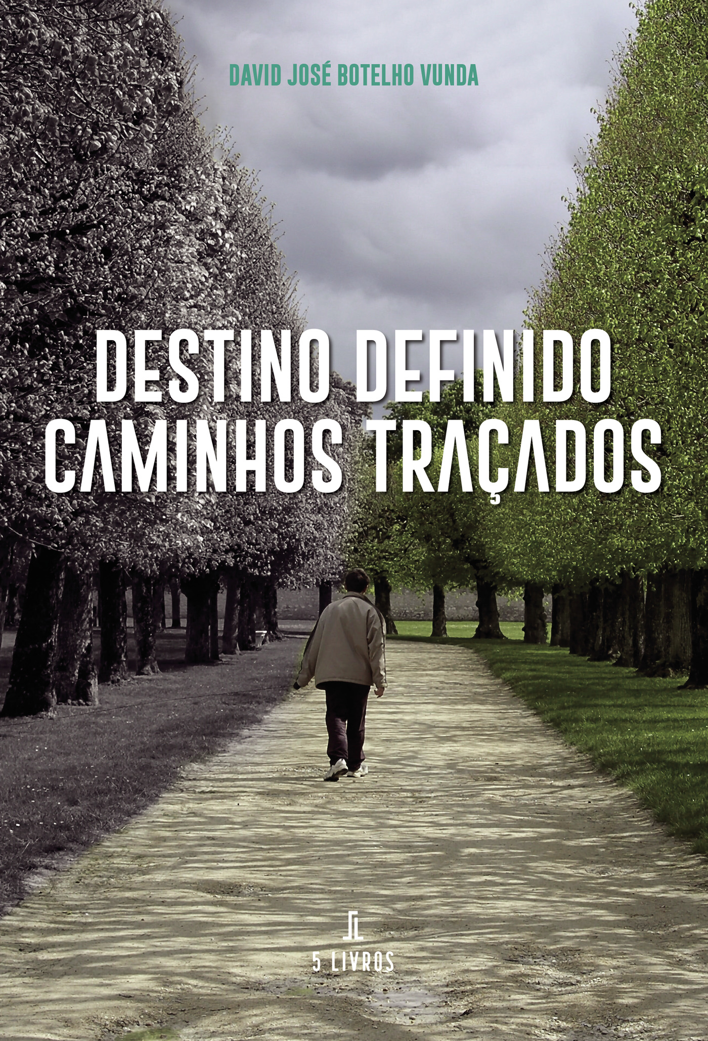 Portada de Destino Definido Caminhos TraÛçados