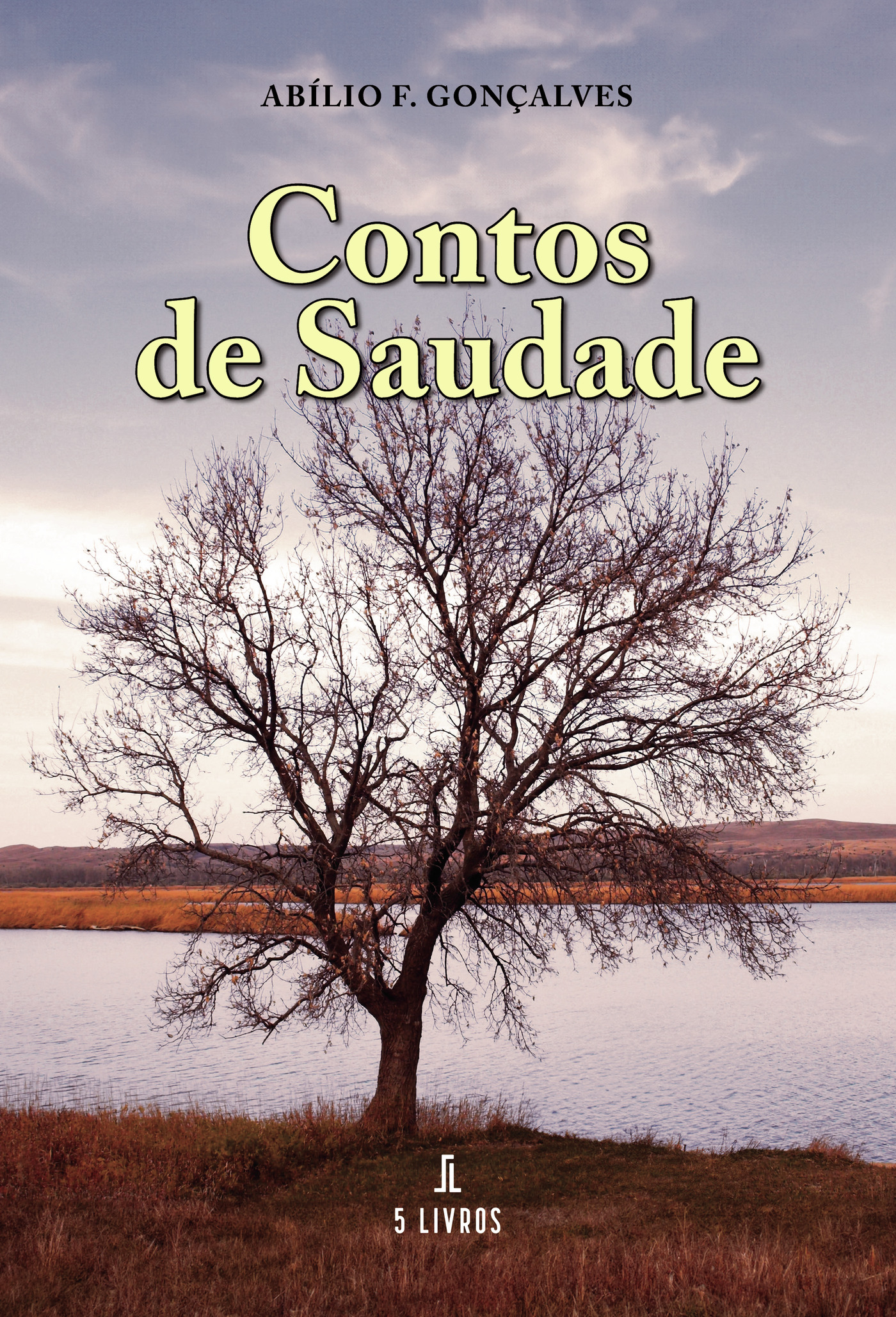 Portada de Contos de Saudade