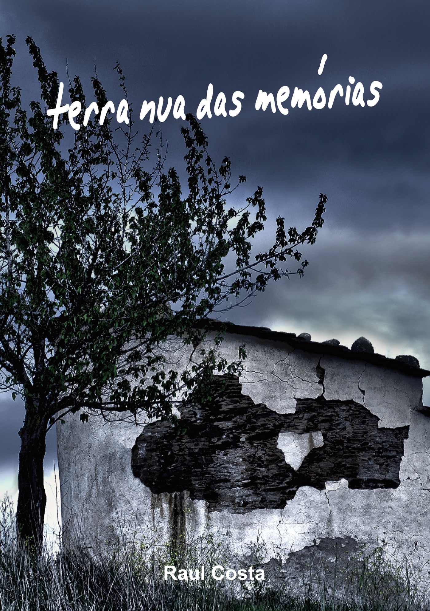 Portada de Terra Nua das Memórias