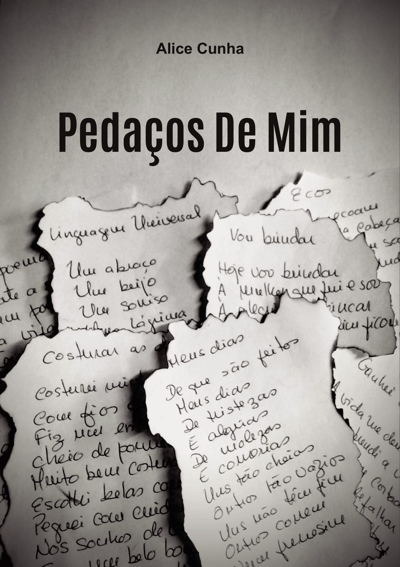 Portada de PedaÛços De Mim