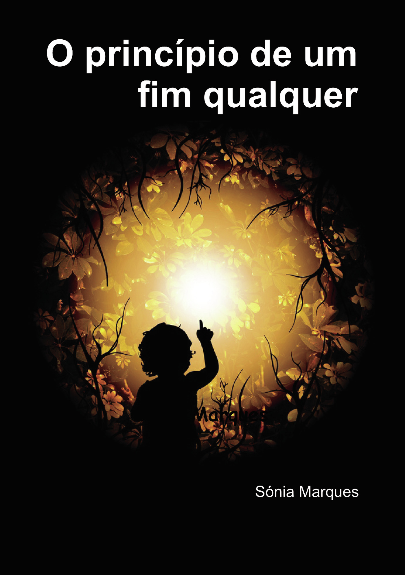 Portada de O principio de um fim qualquer