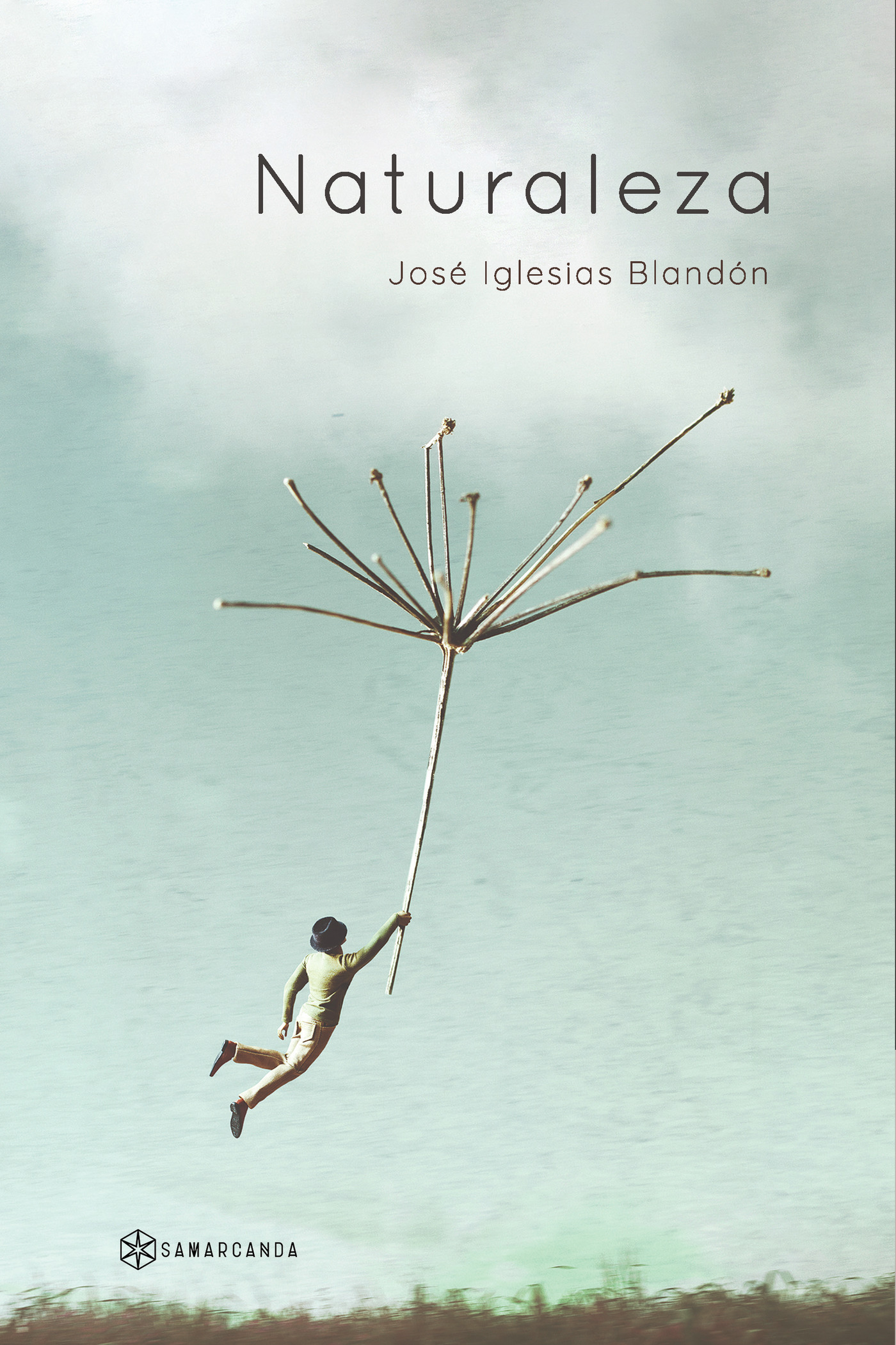 Portada de Naturaleza · José Iglesias Blandón